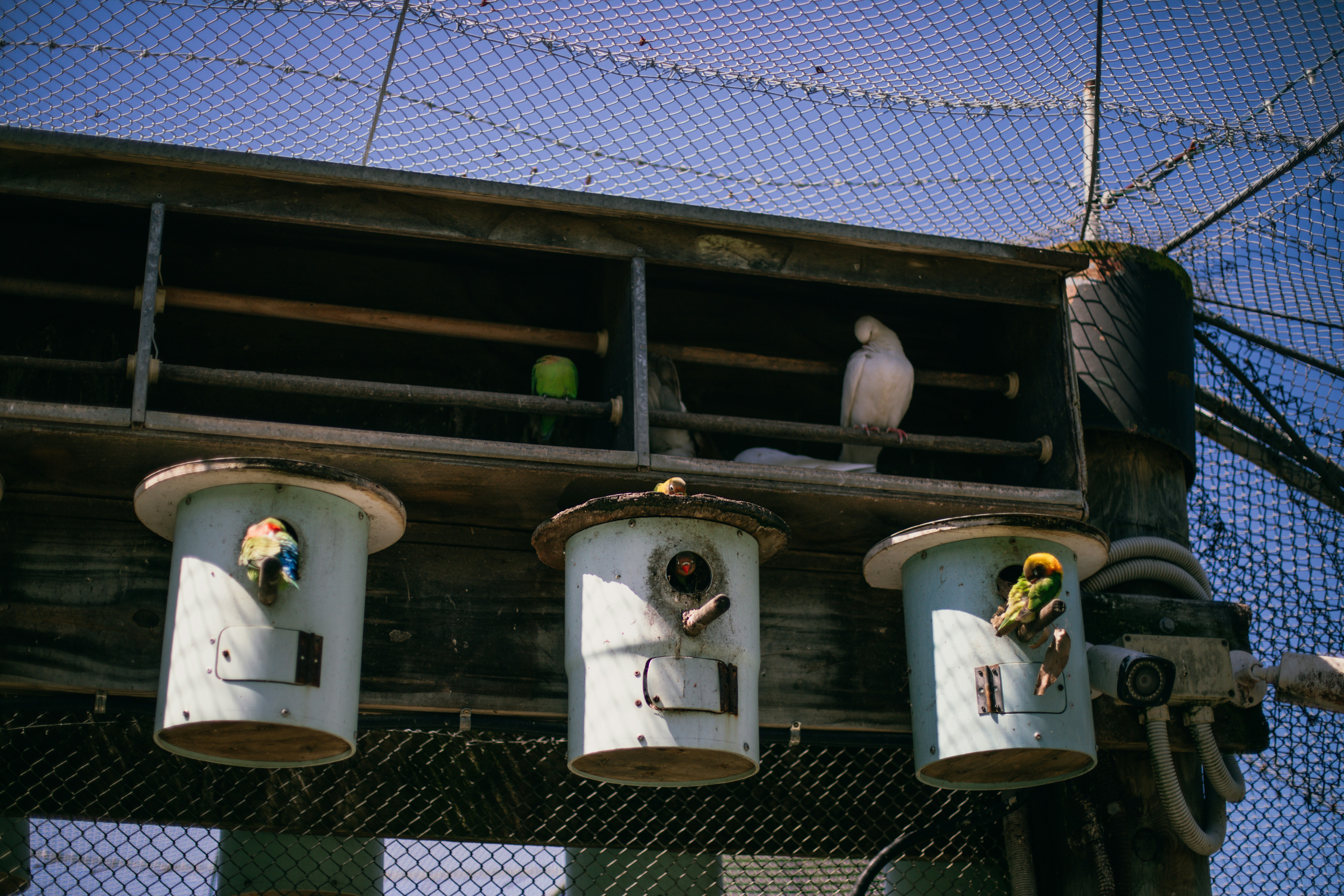 photo 1736206788663 a6d91b37b26a?crop=entropy&cs=tinysrgb&fit=max&fm=jpg&ixid=M3w1MjQ0NjR8MHwxfHNlYXJjaHwxMHx8UGVzdCUyMENvbnRyb2wlMjBTZXJ2aWNlJTIwRGF2aWUlMjBGbG9yaWRhfGVufDB8MHx8fDE3NjAyOTg2ODd8MA&ixlib=rb 4.1