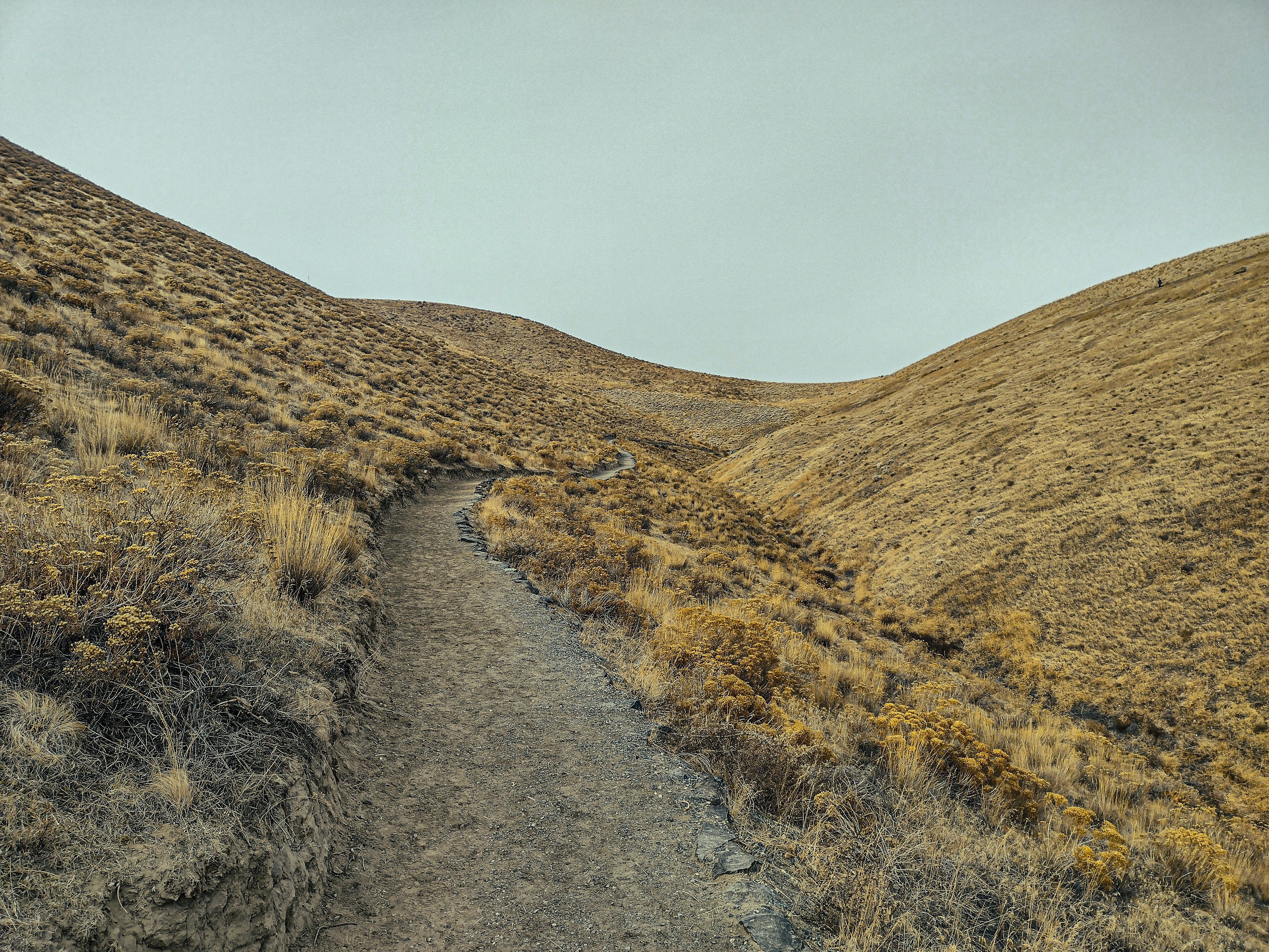 Photo by prphotography262