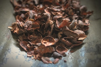 A close up of a pile of chocolate chips