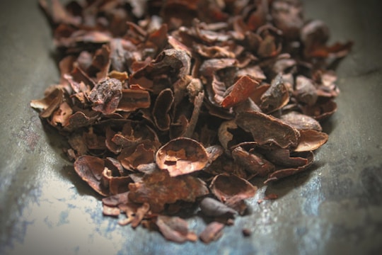 A close up of a pile of chocolate chips