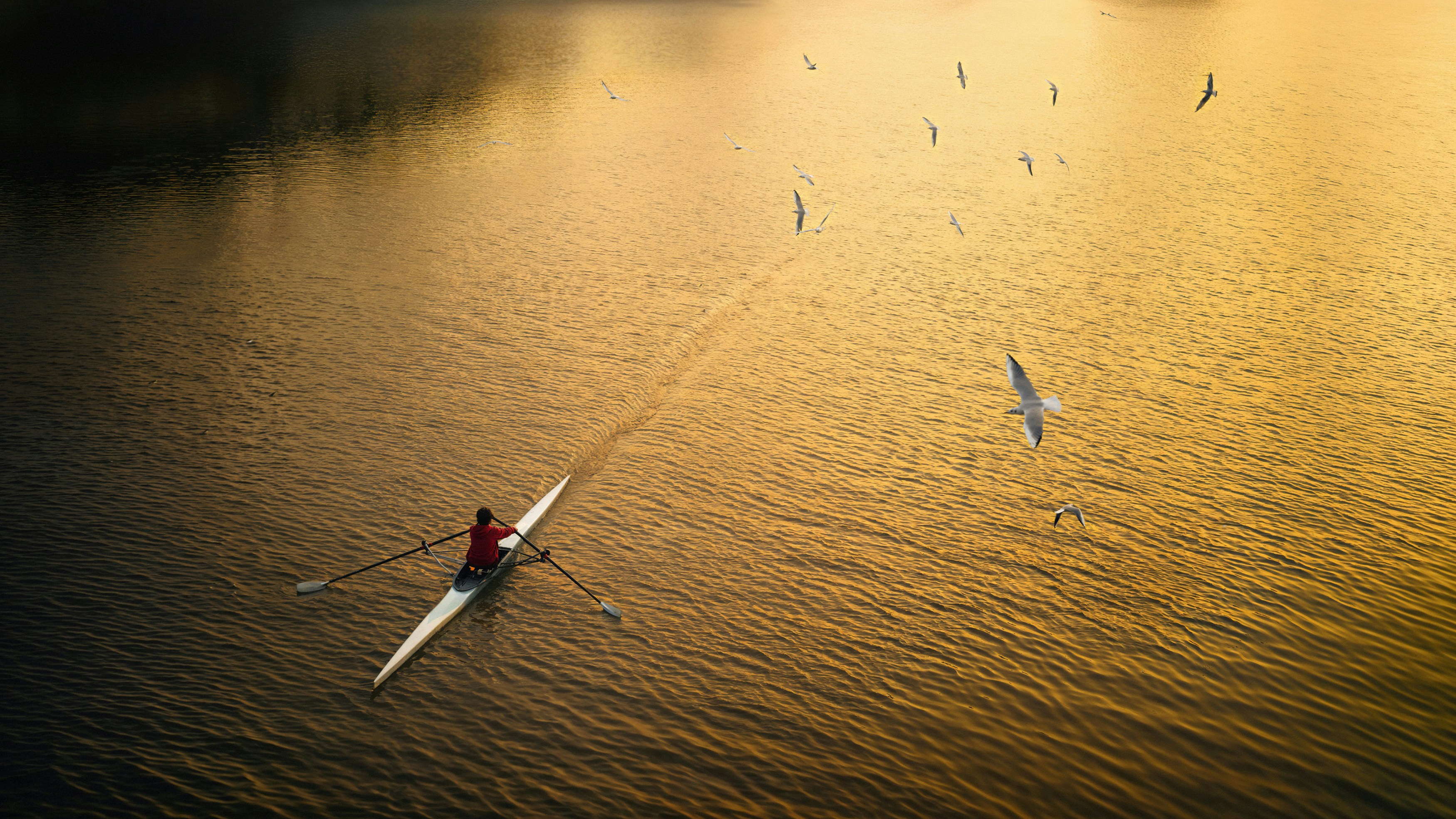An aerial view of a boat in the water