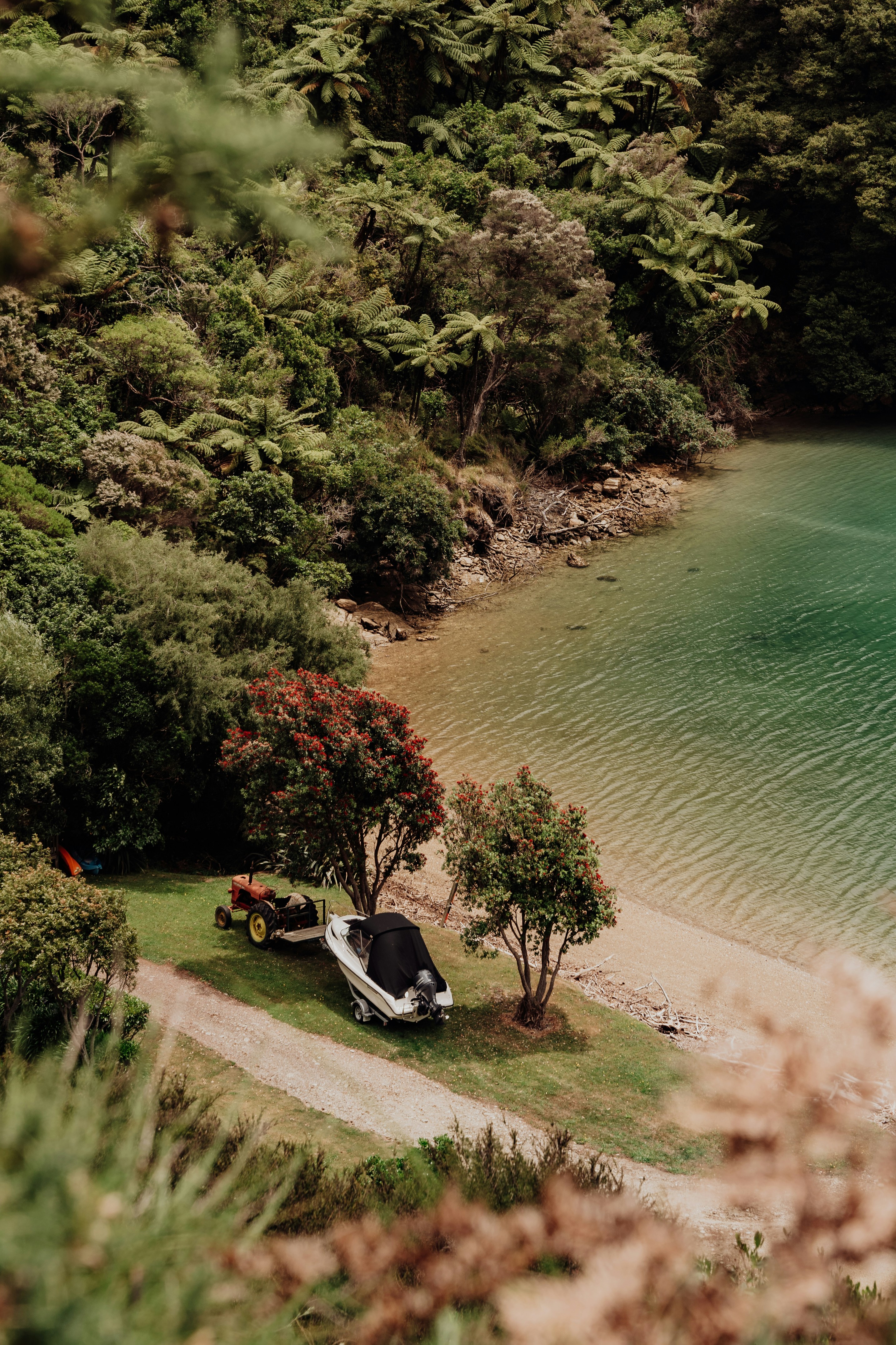 An aerial view of a lake surrounded by trees