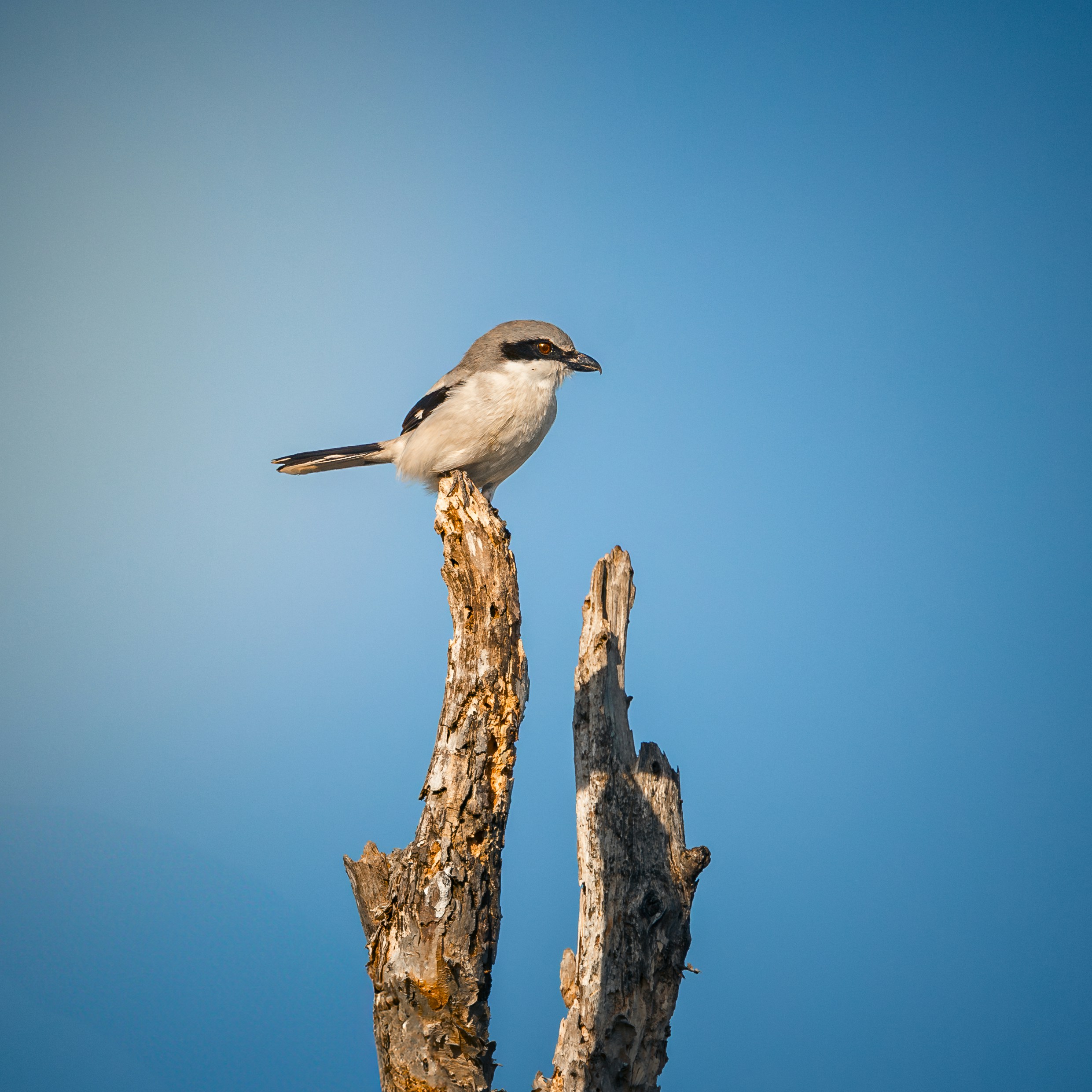 Photo by sailorgreg123