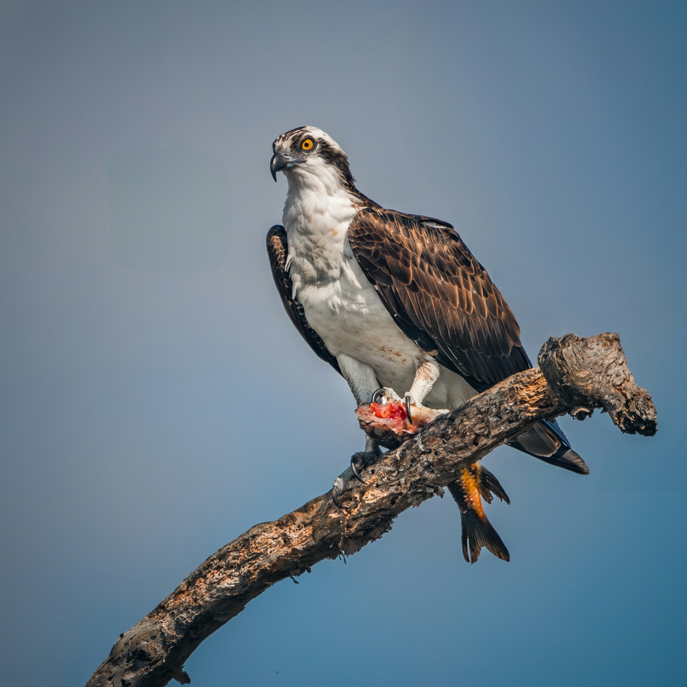 Photo by sailorgreg123