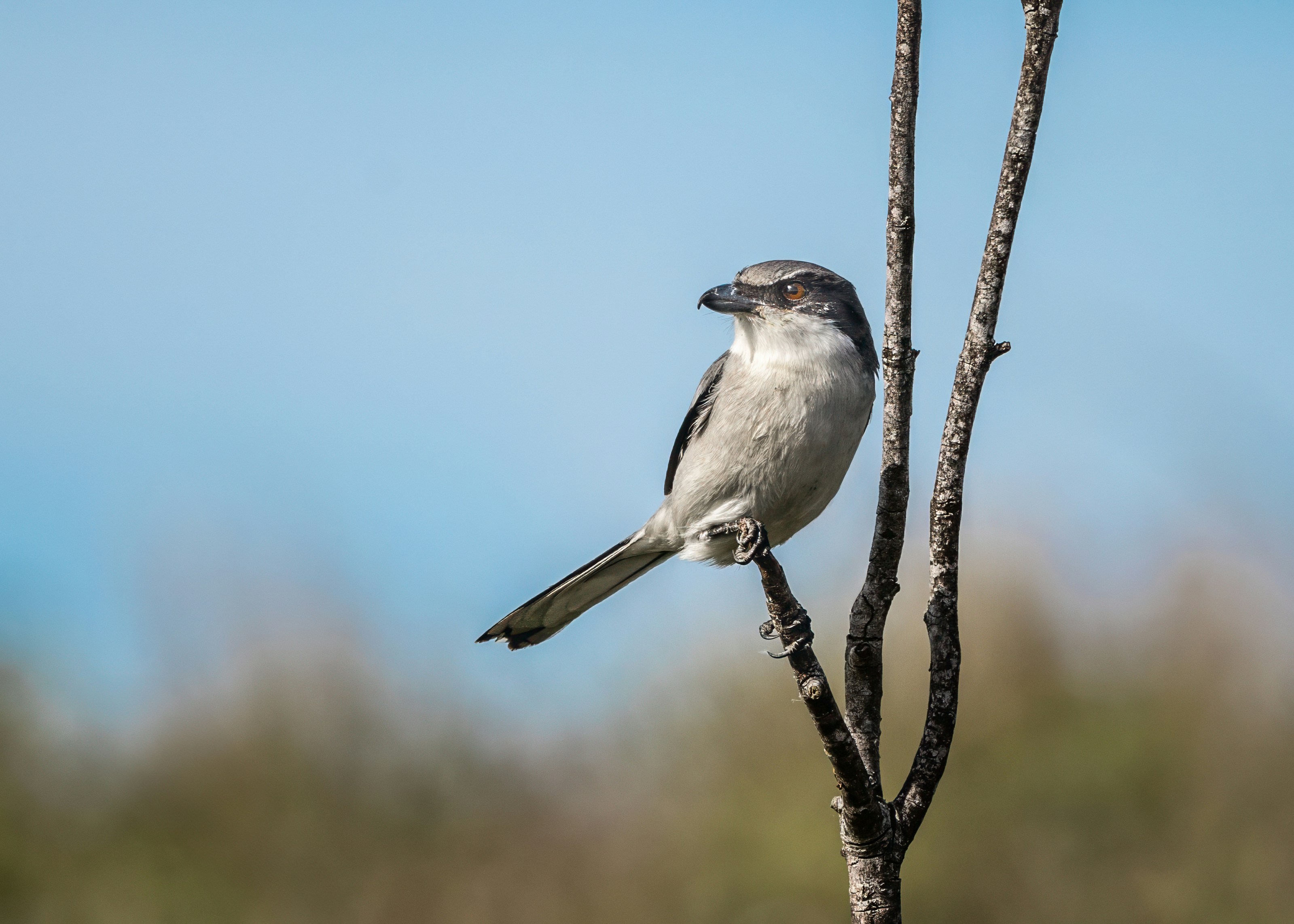 Photo by sailorgreg123