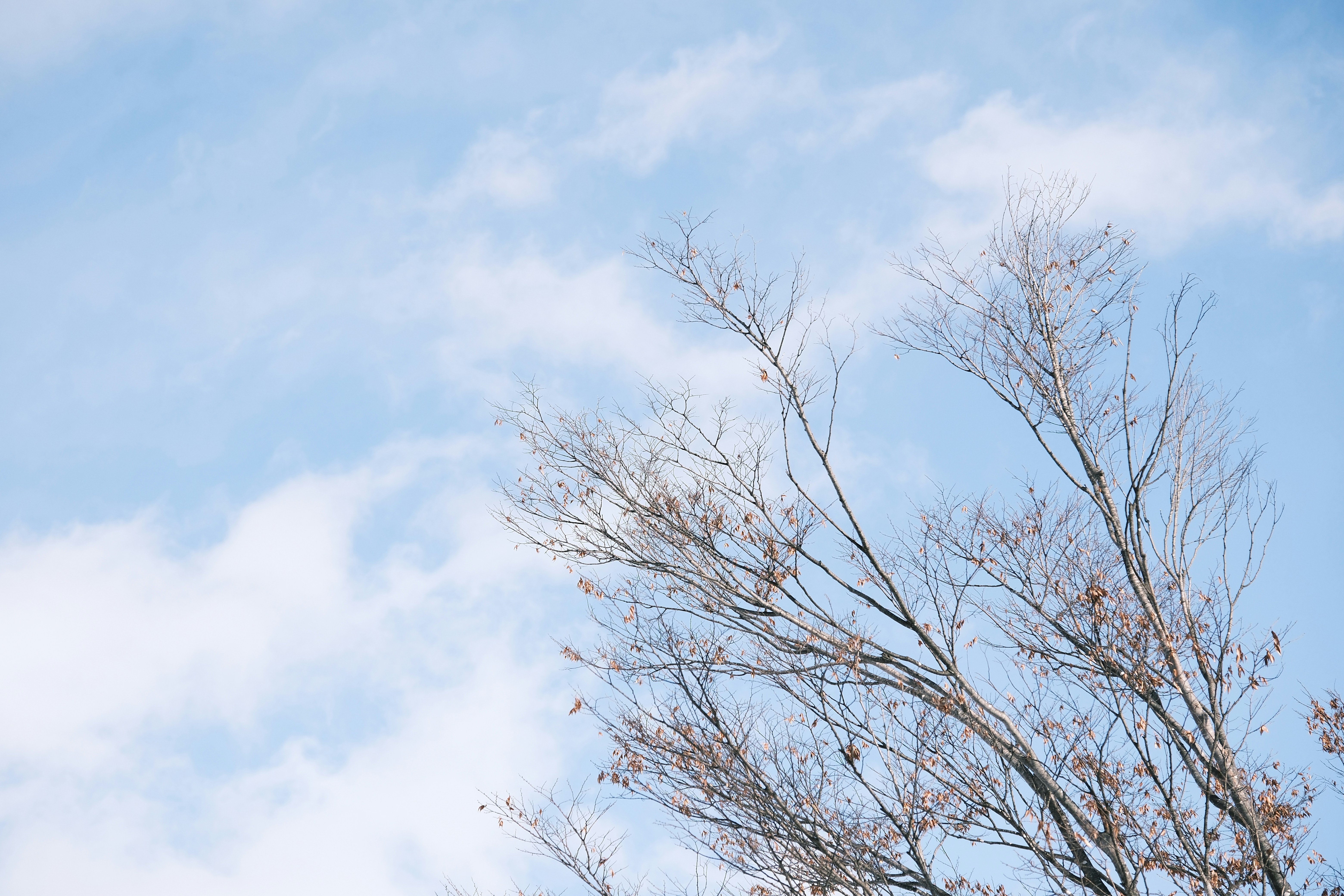 Photo by seiya_maeda