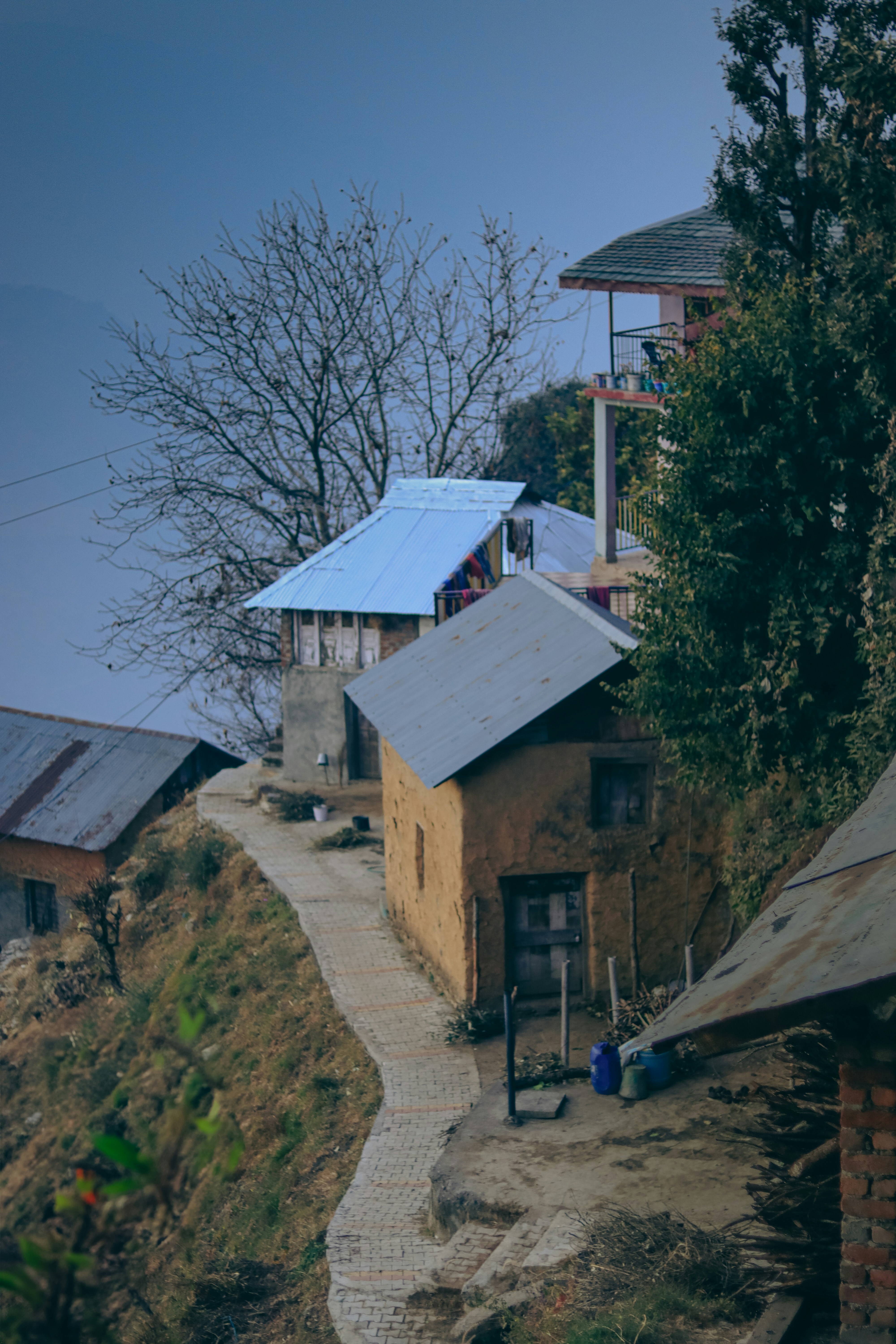 Photo by shuttersketches