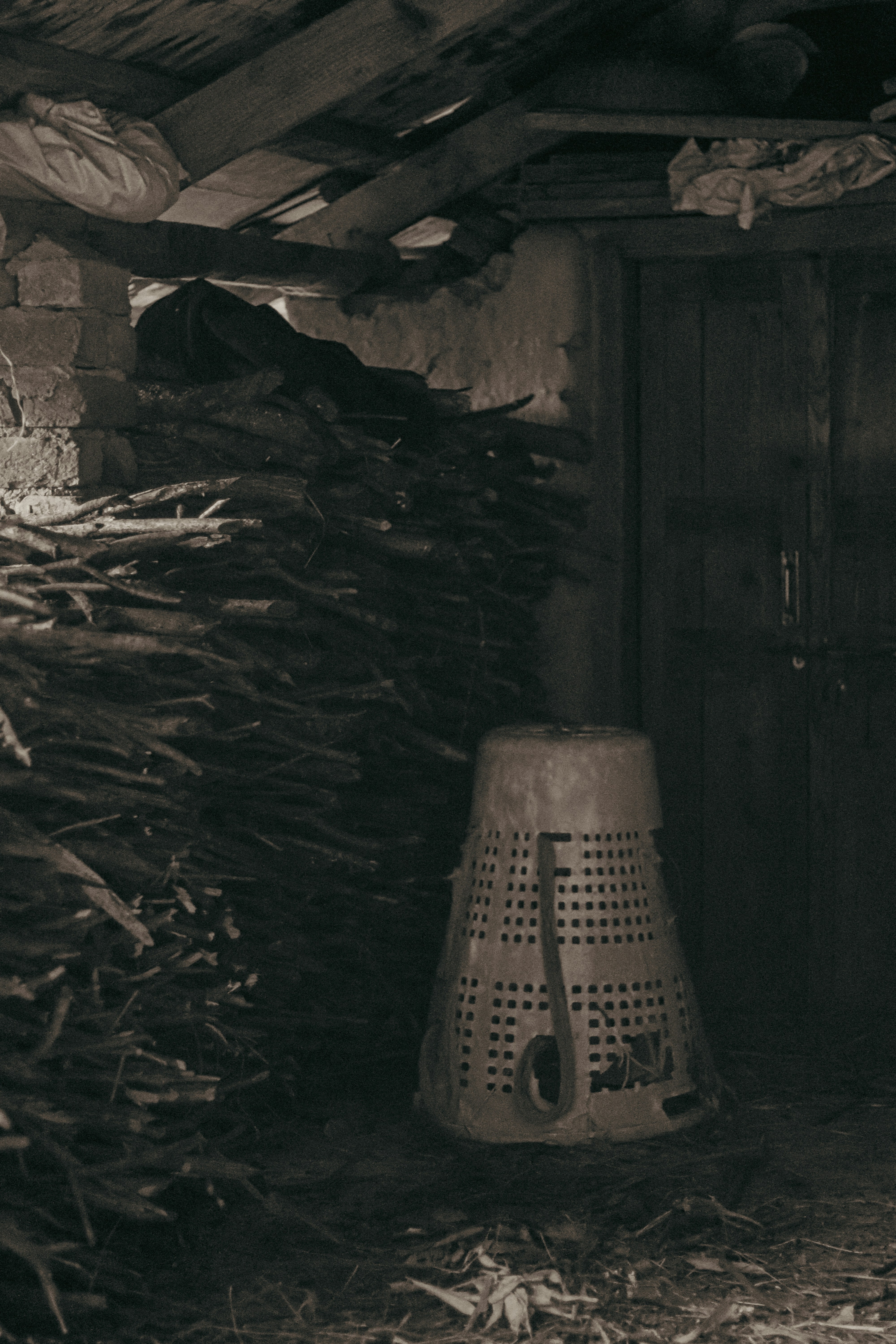 Photo by shuttersketches