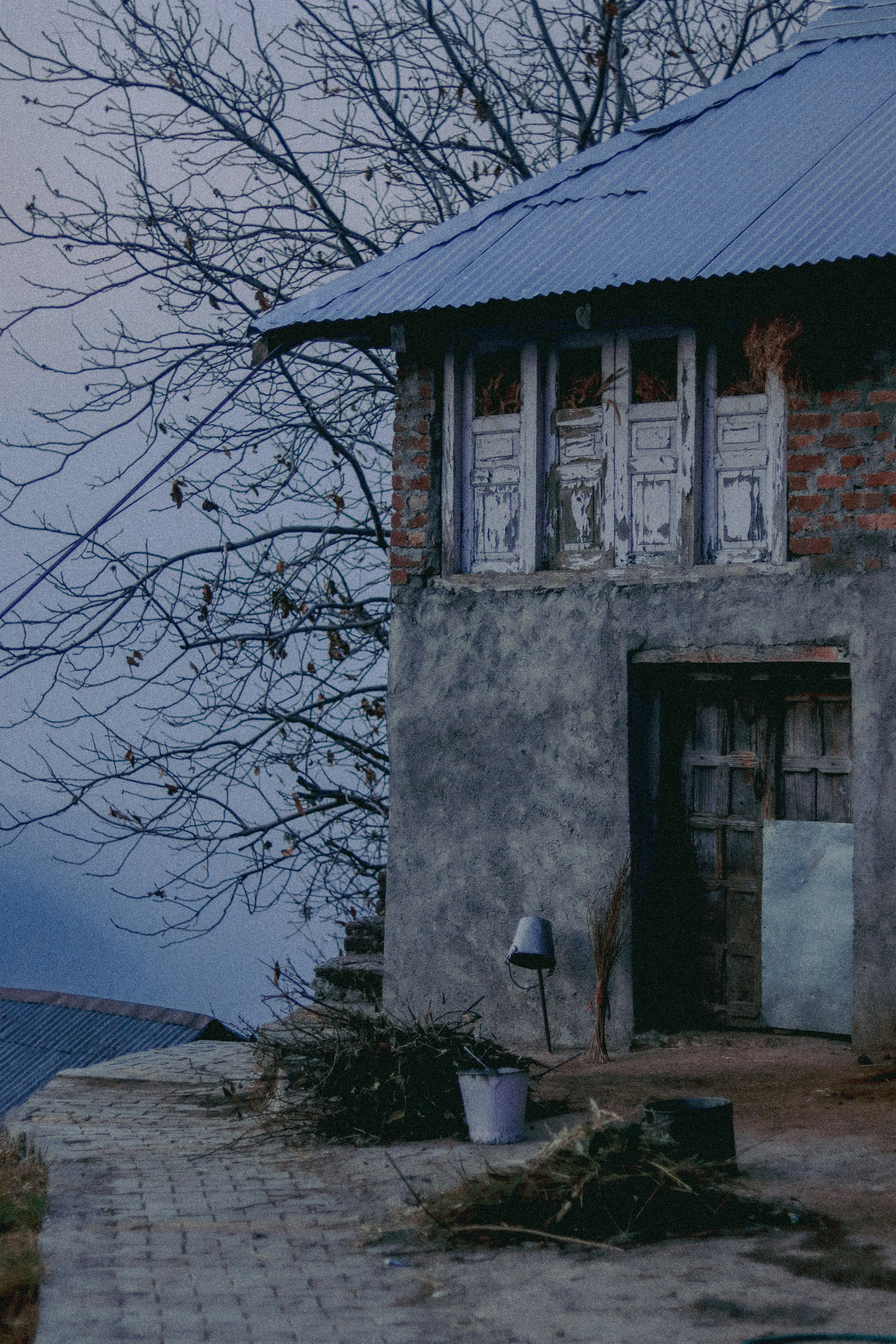 Photo by shuttersketches