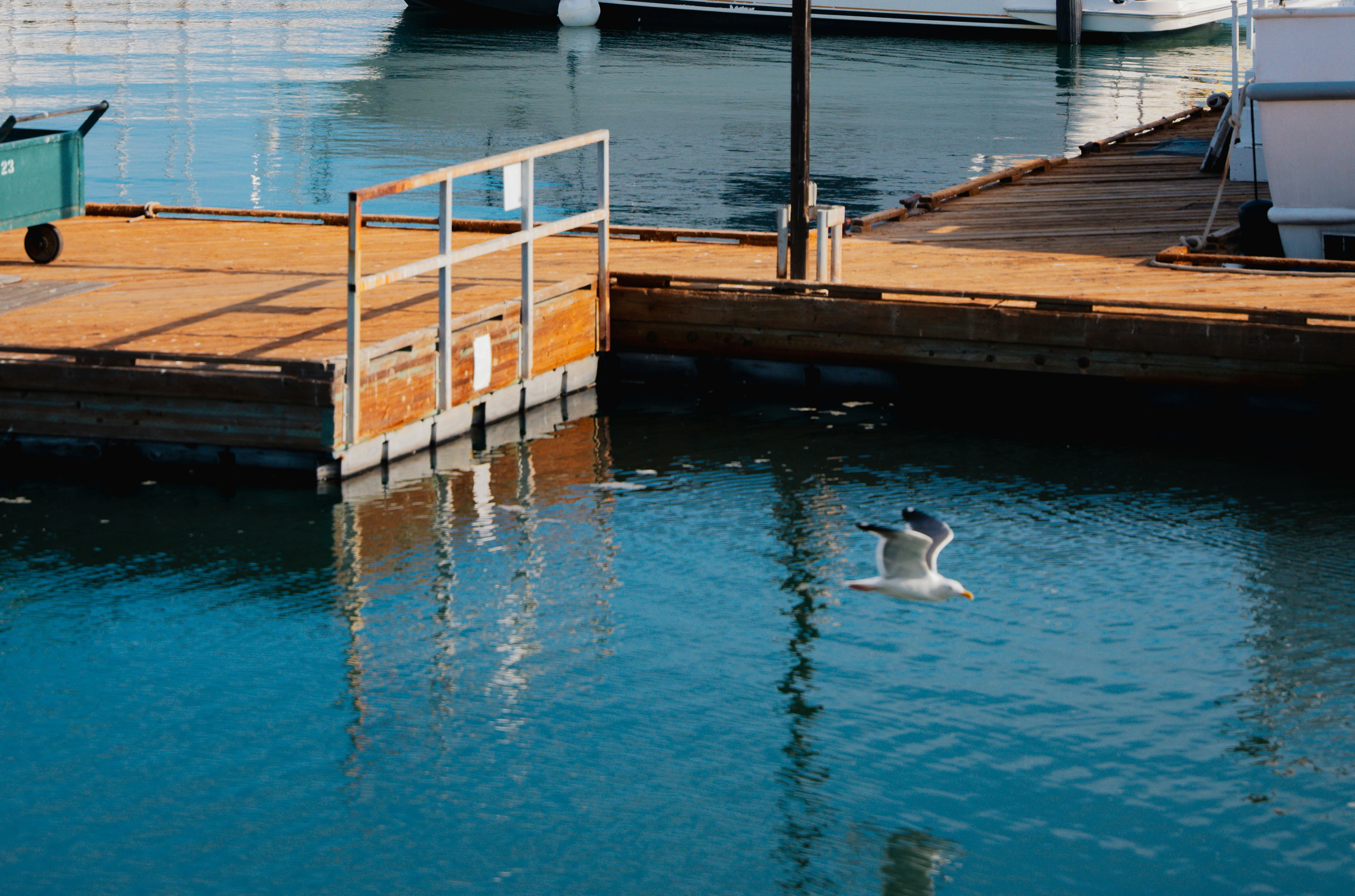 A boat is docked at a pier with a duck in the water