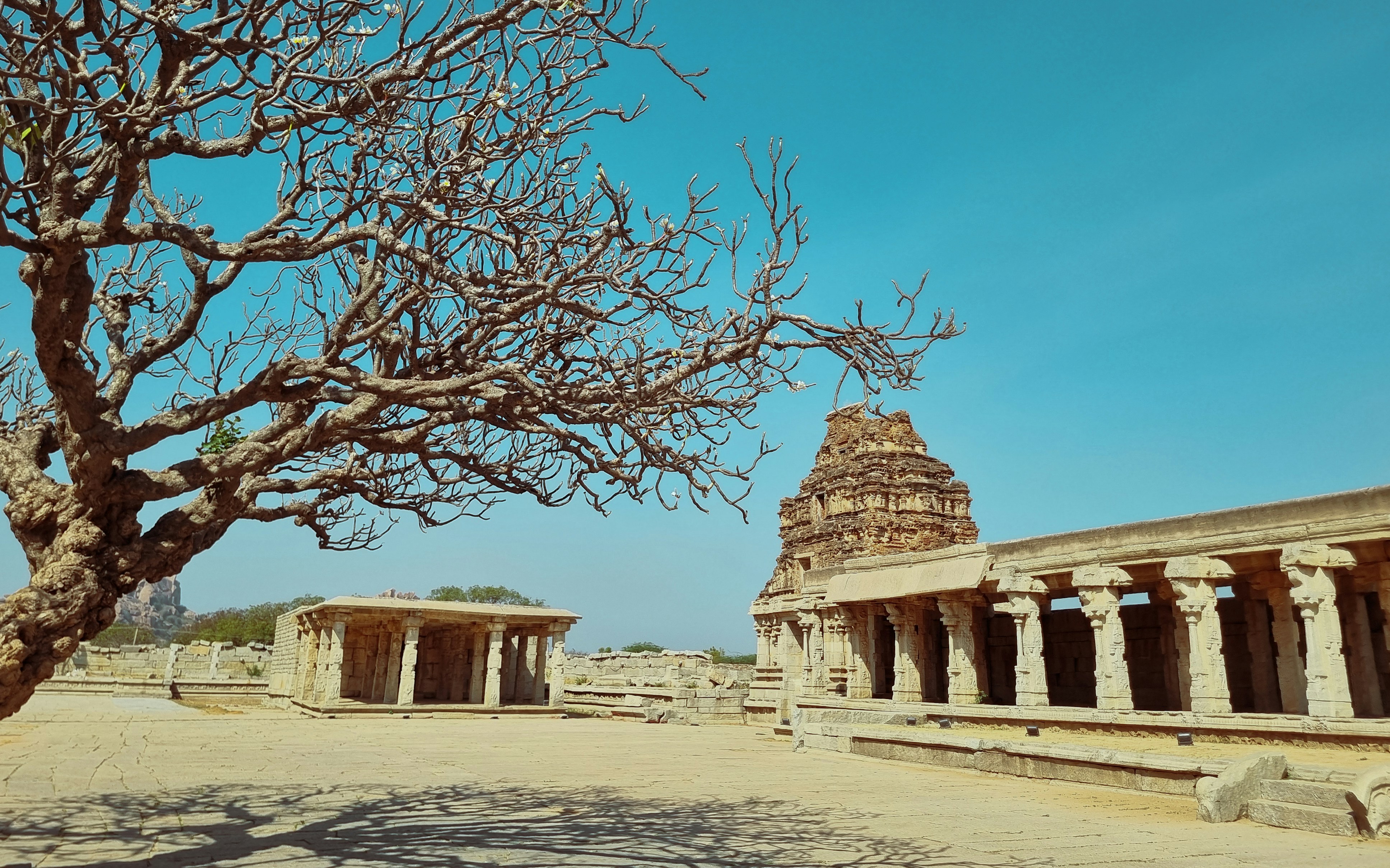 Photo by bhataku