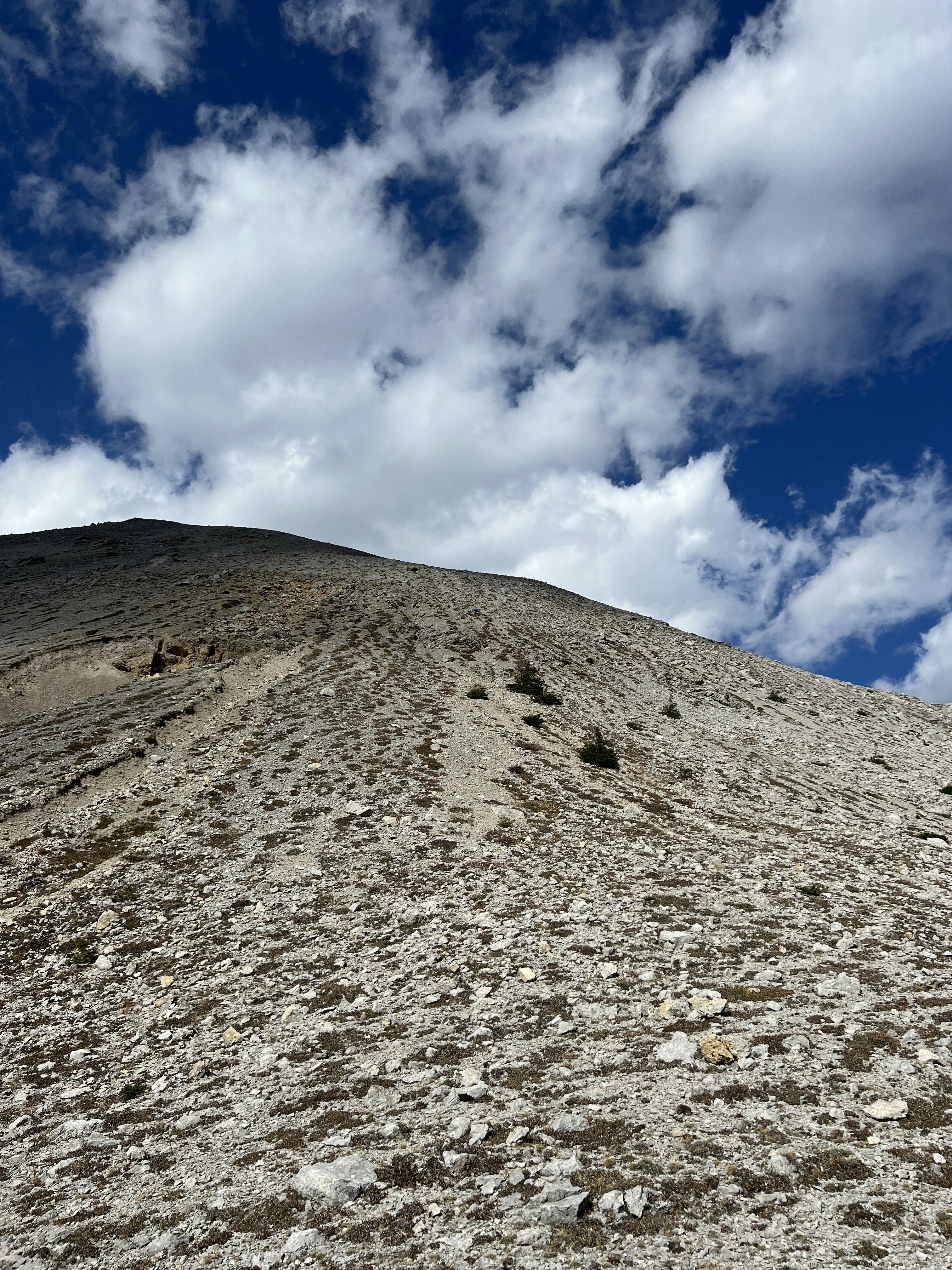 Photo by william_vdg