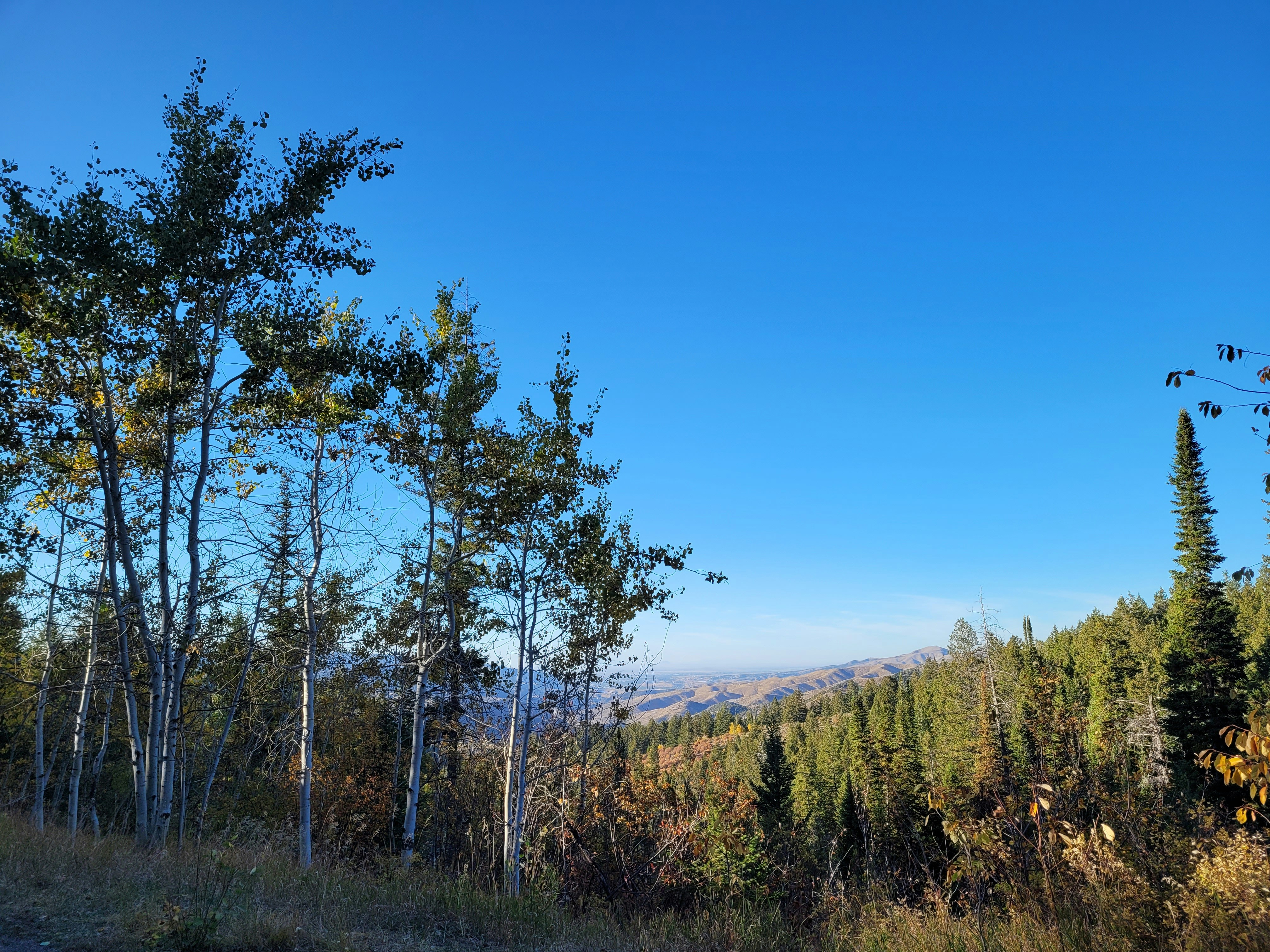 Photo by afrodeitiy6