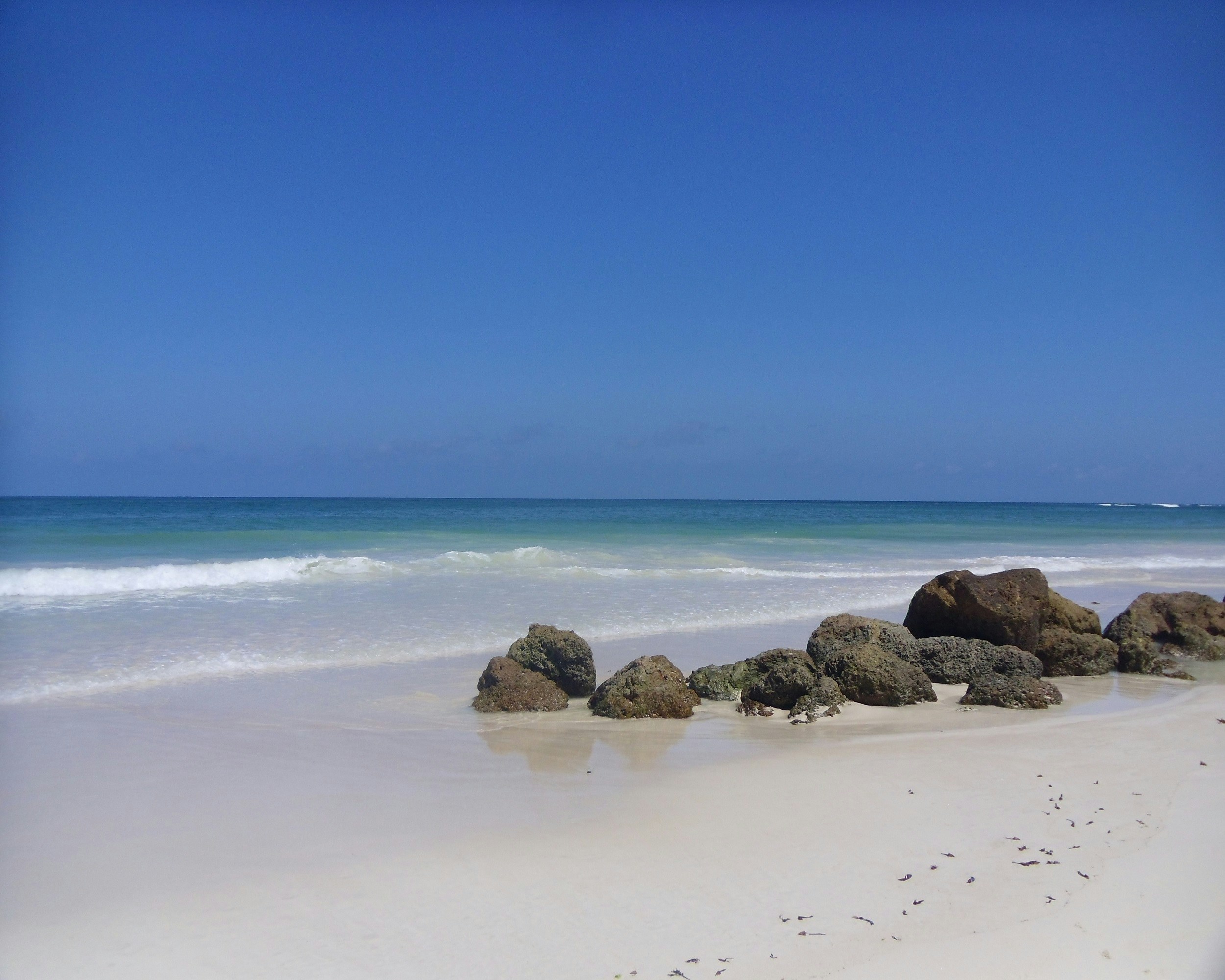 Plages idylliques, eaux cristallines, tenzanie