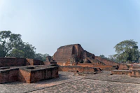 Best Quiet Cafes to Study in Nalanda Without Getting Kicked Out
