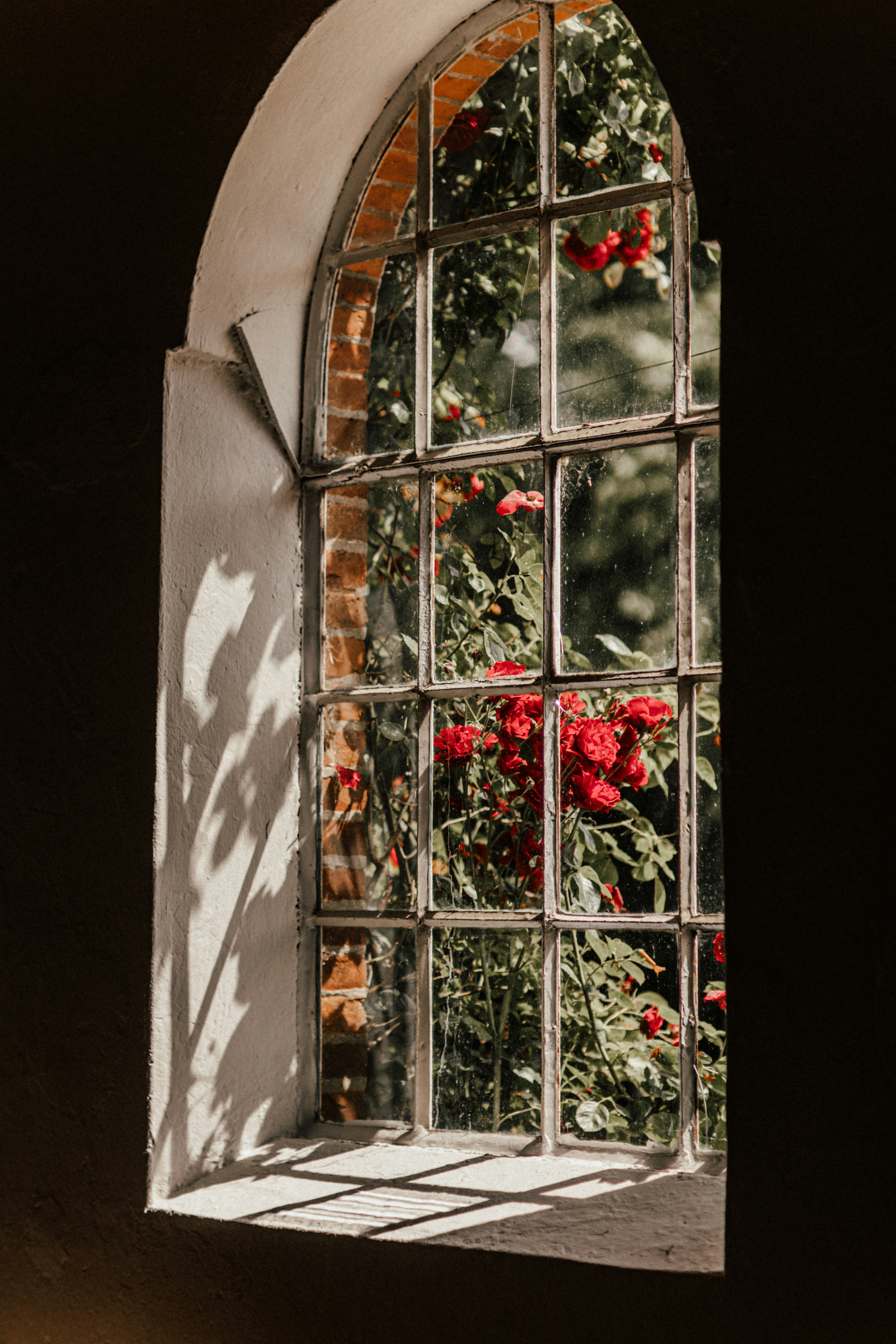 Photo by wunderlichtfotografie