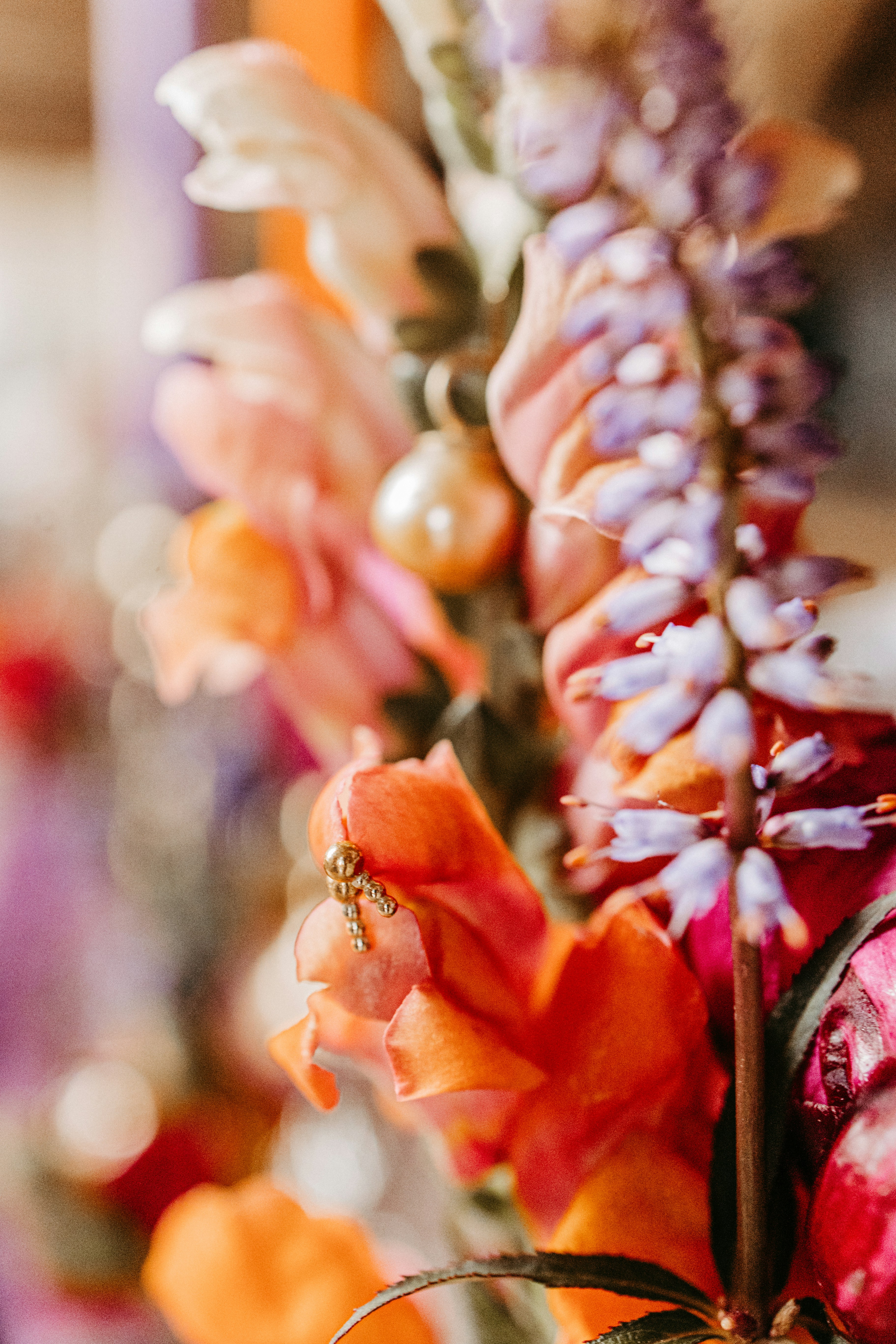 Photo by wunderlichtfotografie