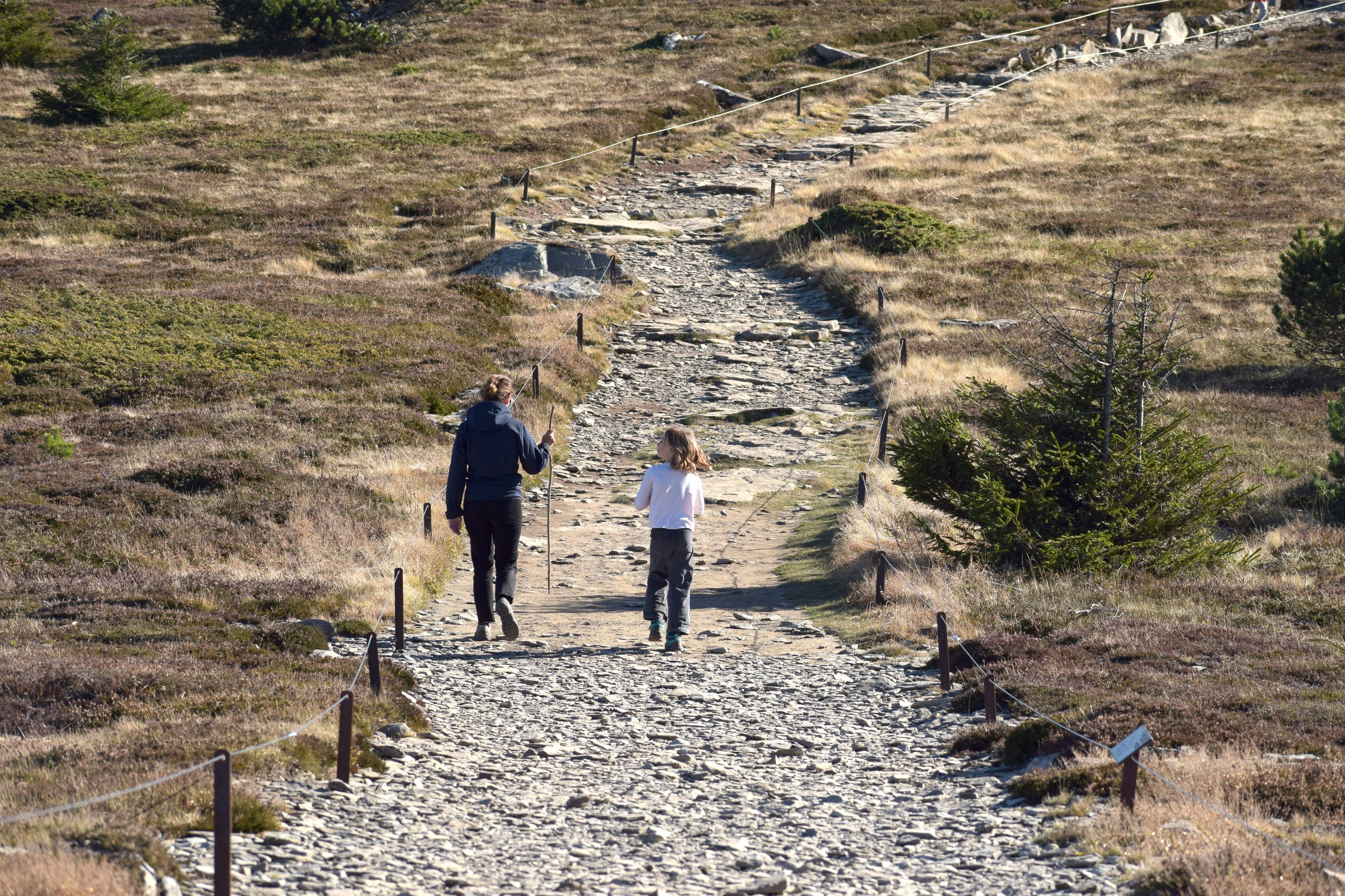 Image by Renaud Confavreux via Unsplash