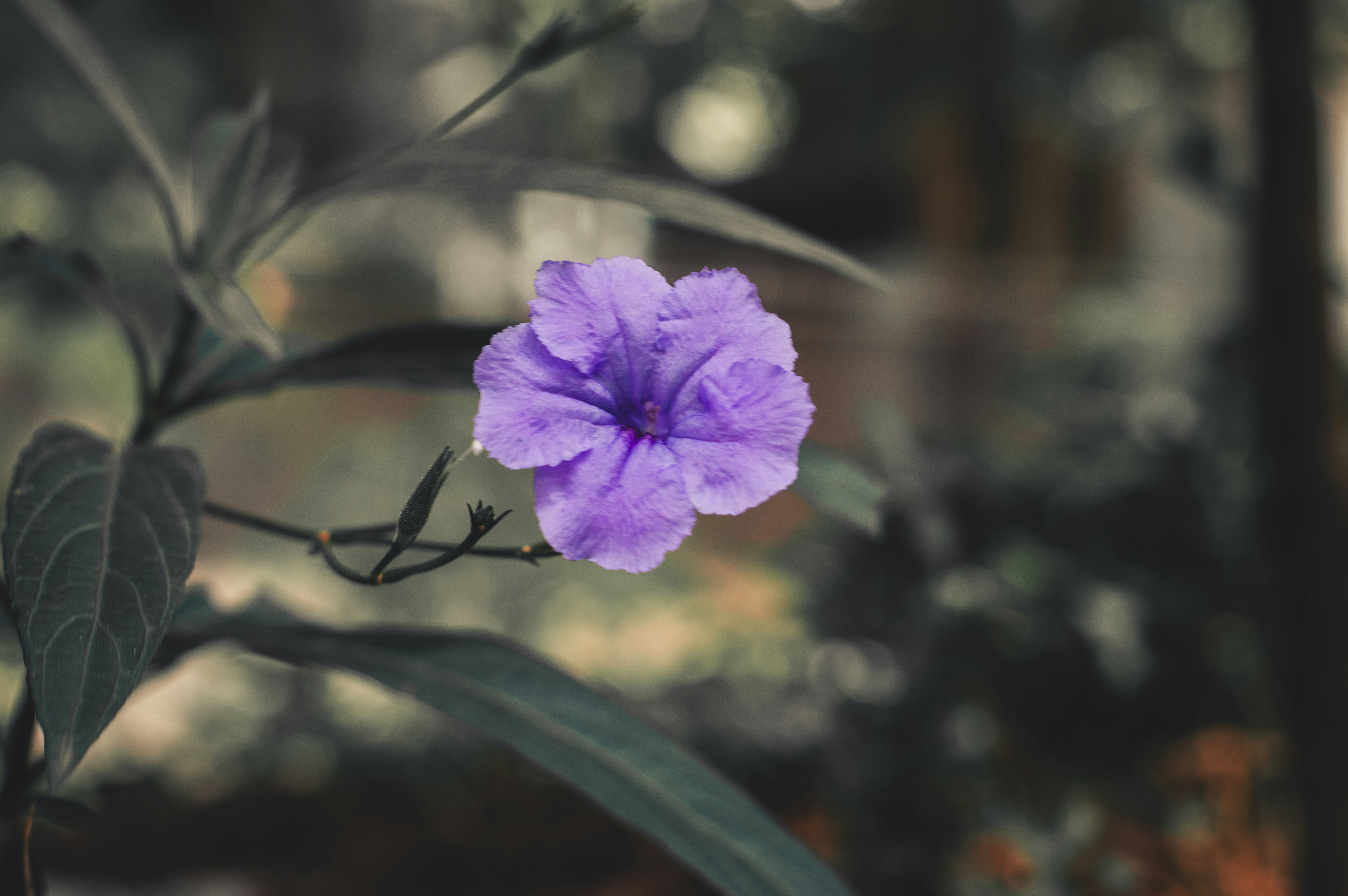 Photo by butskibutong