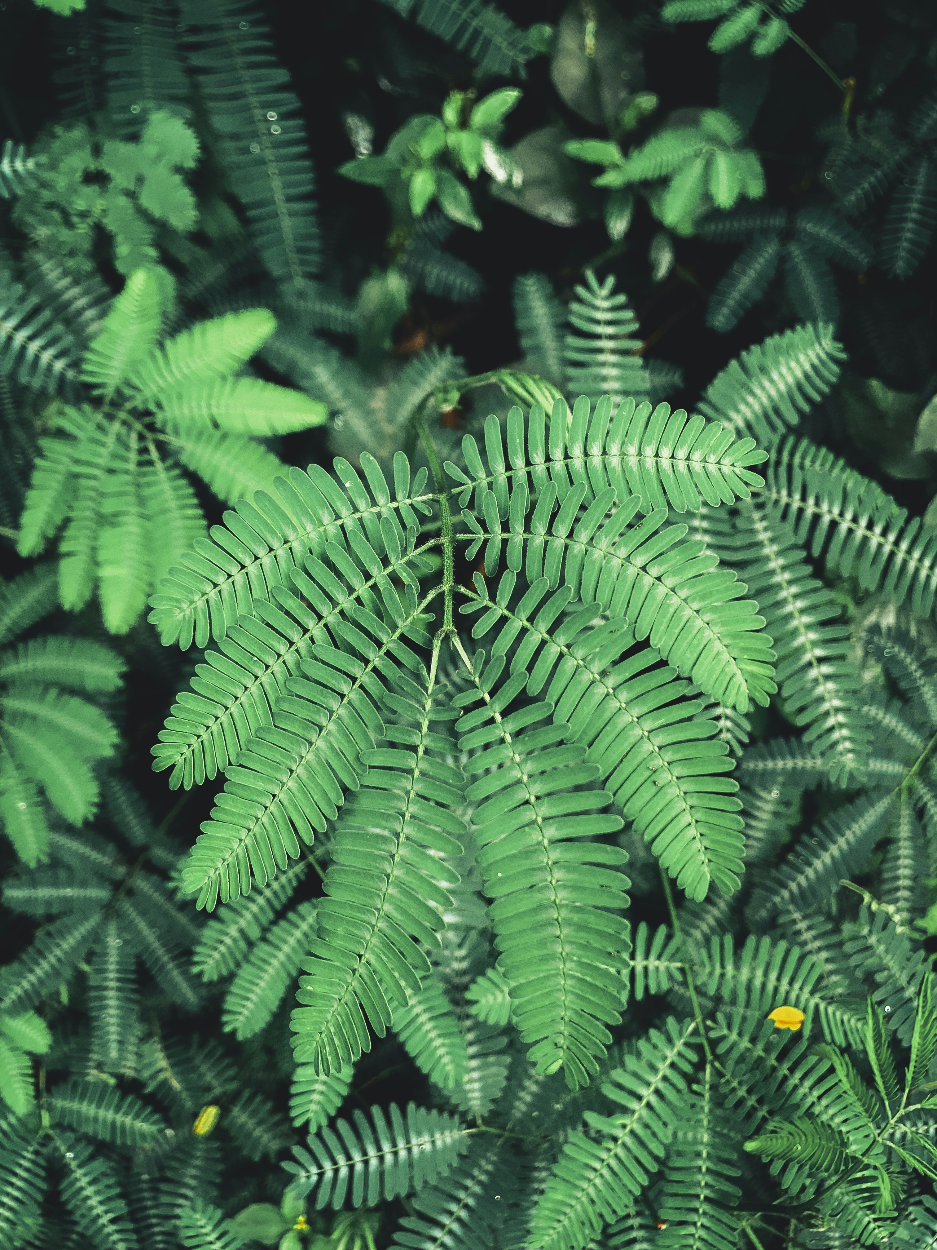 Photo by butskibutong