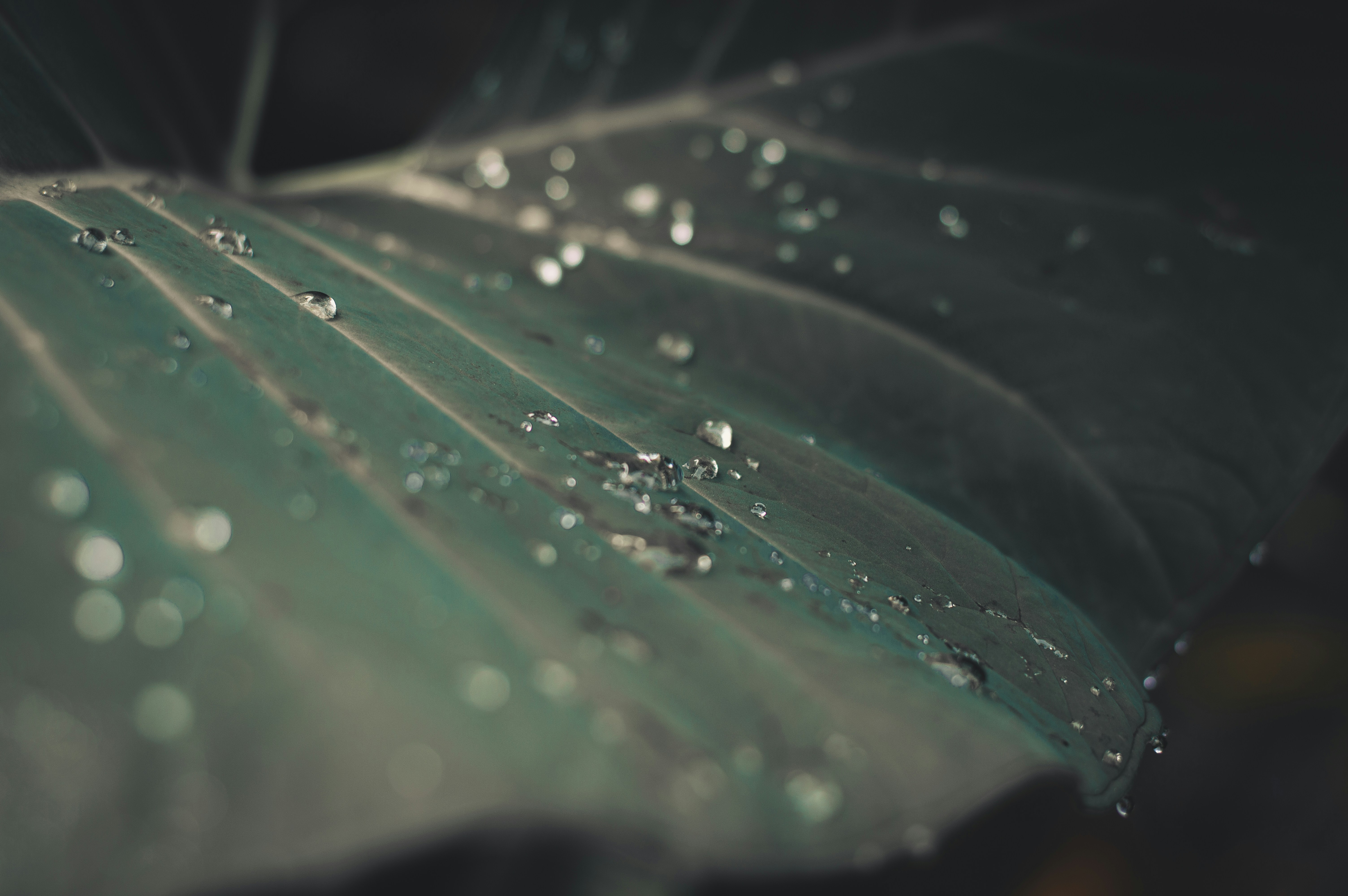 Photo by butskibutong