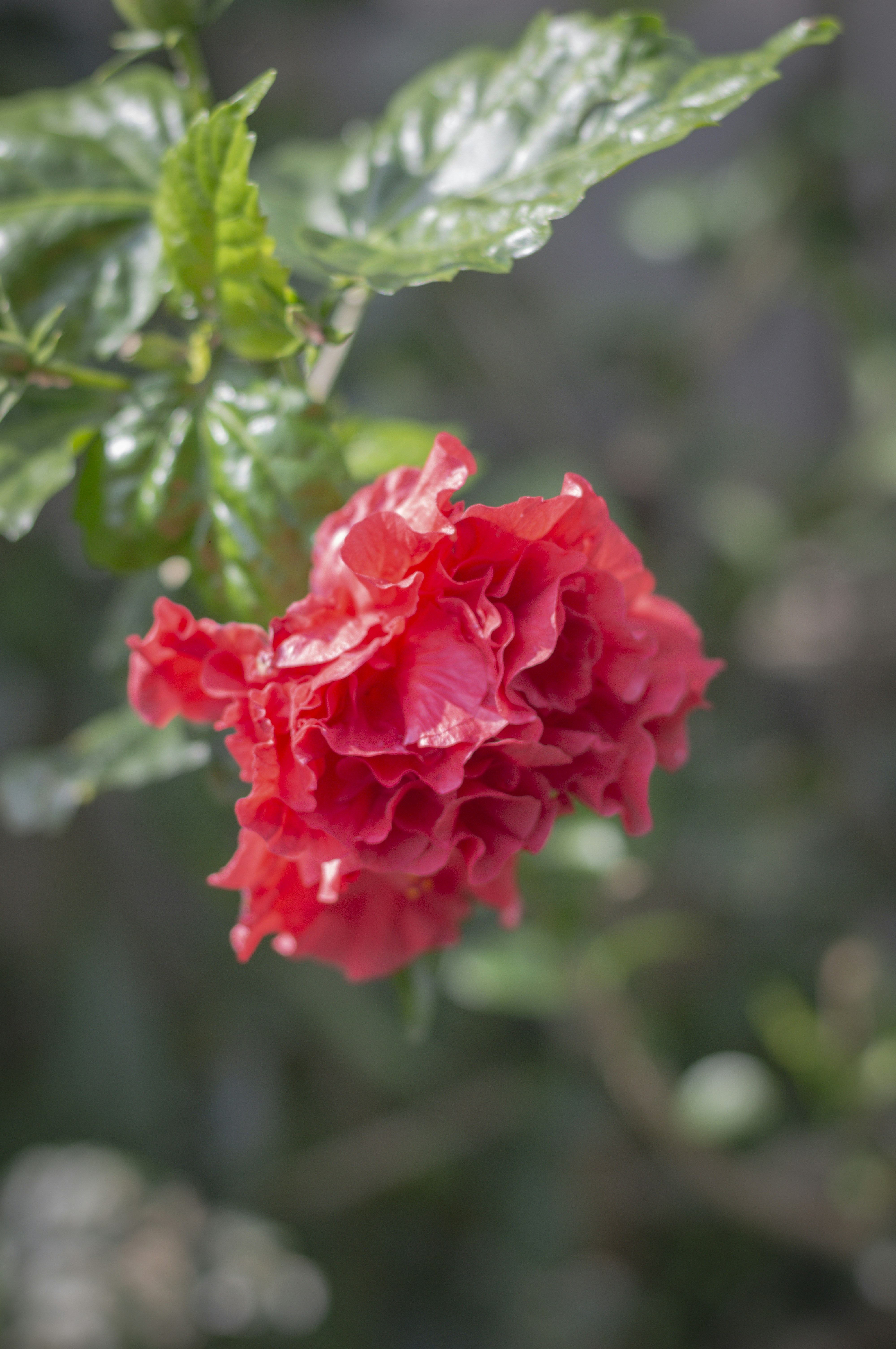 Photo by butskibutong