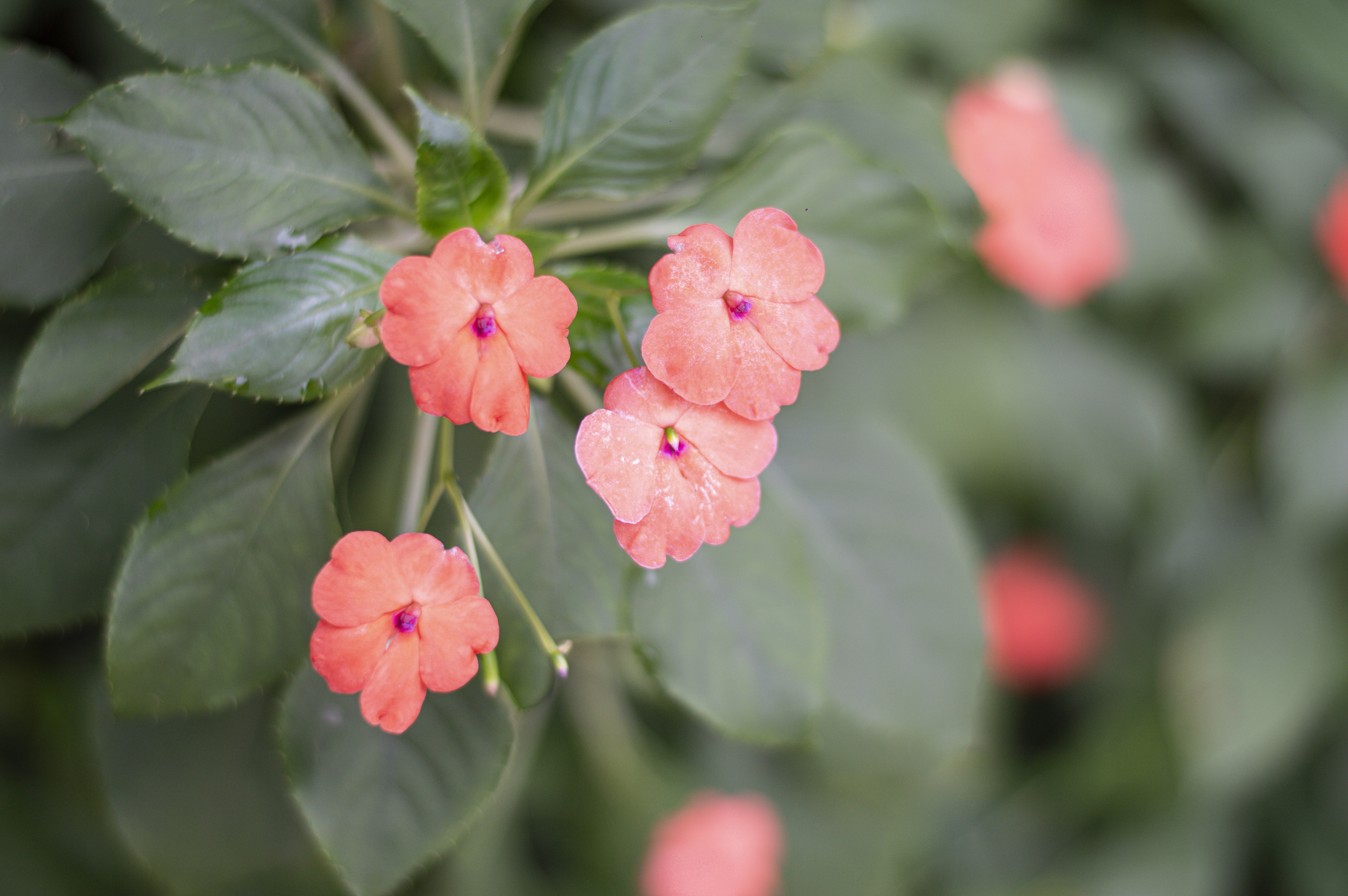 Photo by butskibutong