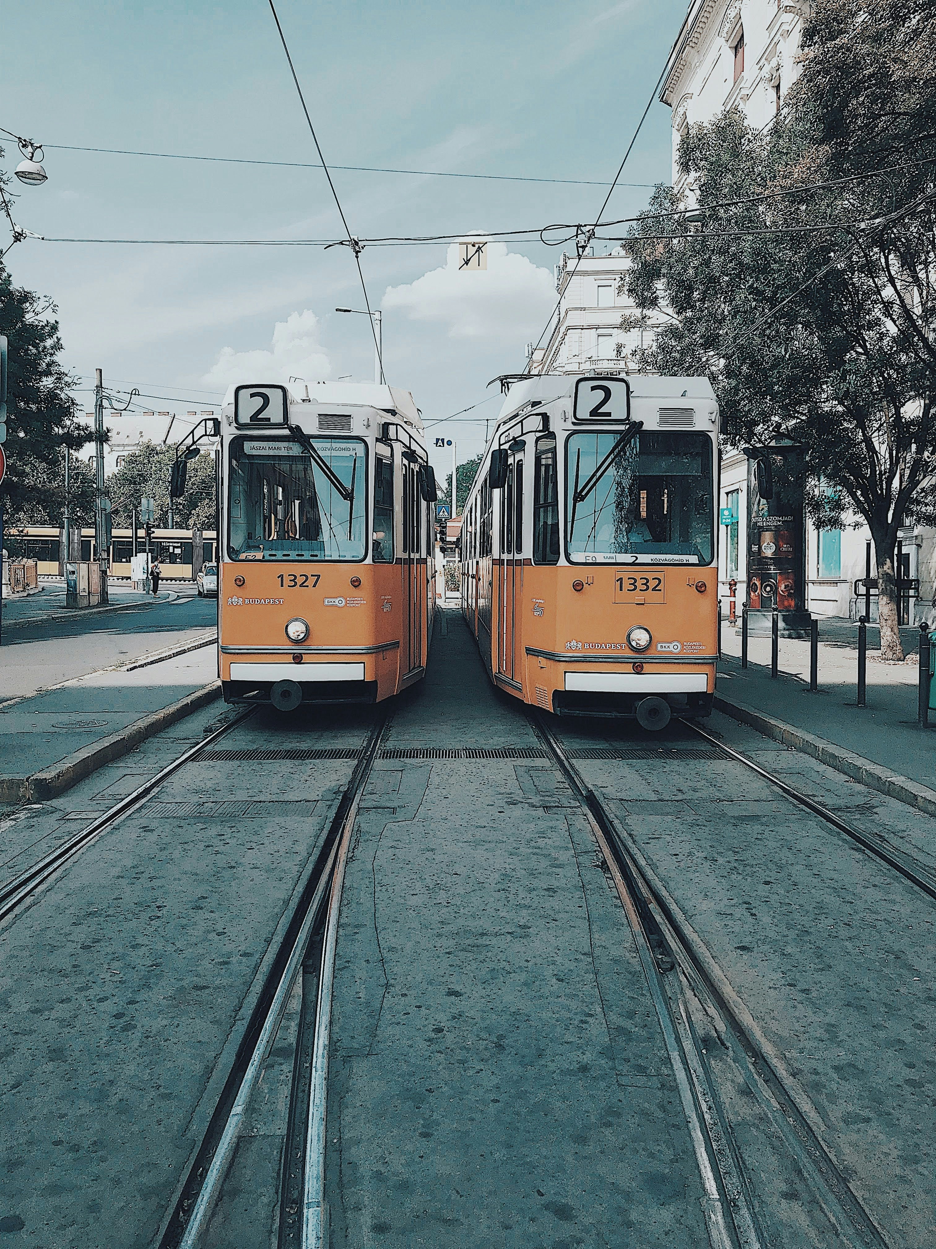 Photo by nicolazhukov