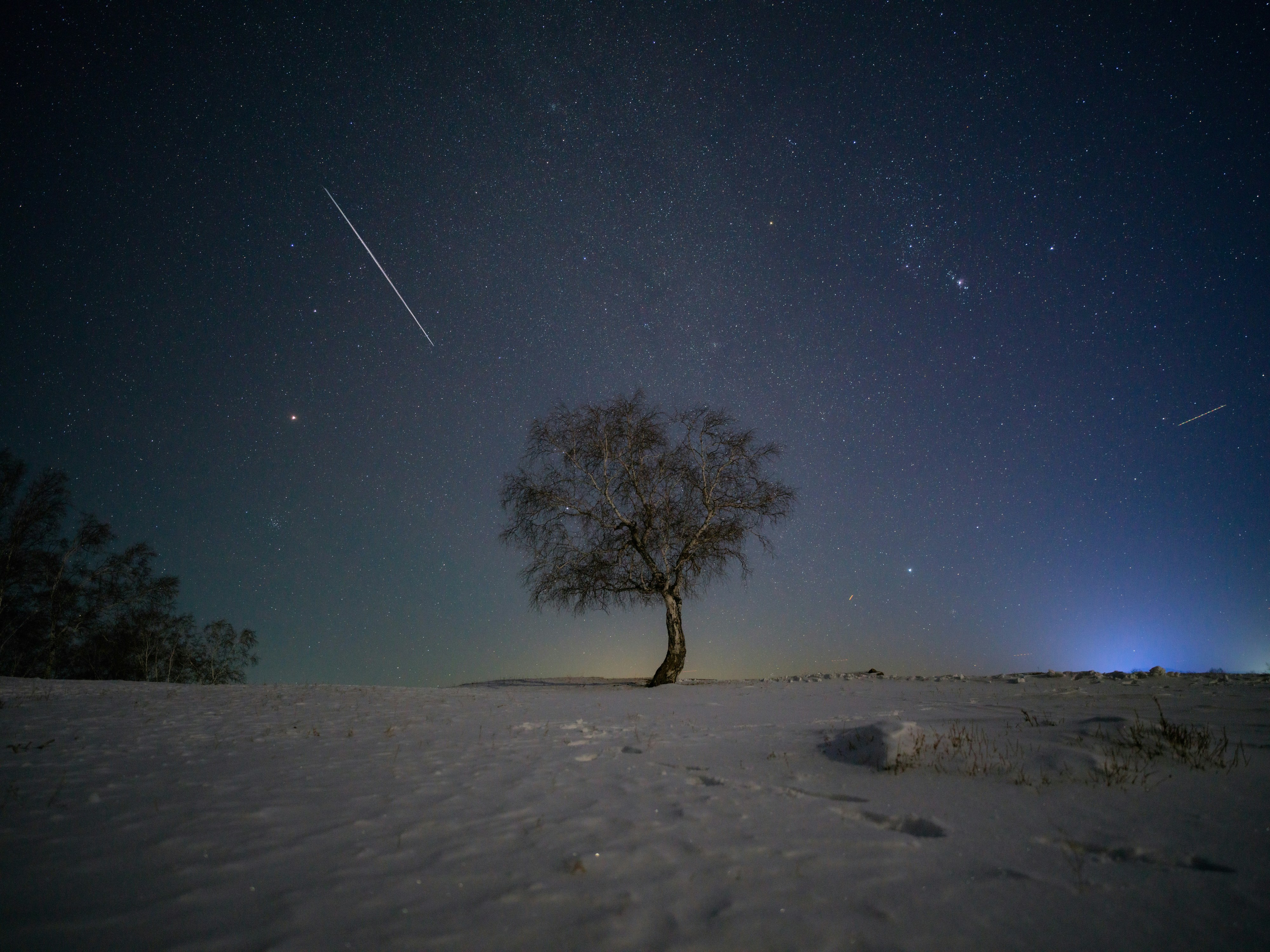 보편 윤리와 특수 윤리 간의 갈등 발생 이유는 무엇인가요?