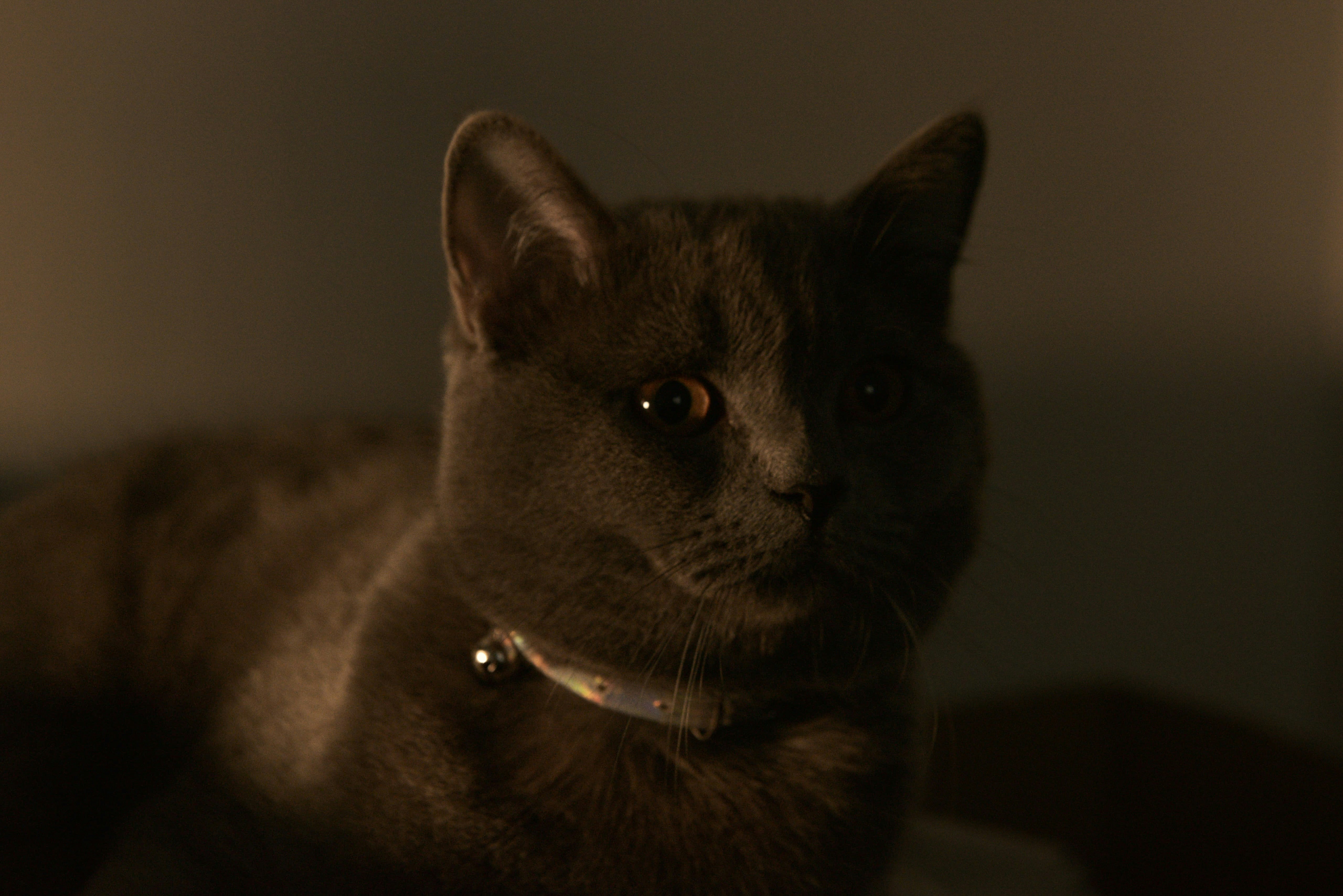 Photo by berlioz_froggy