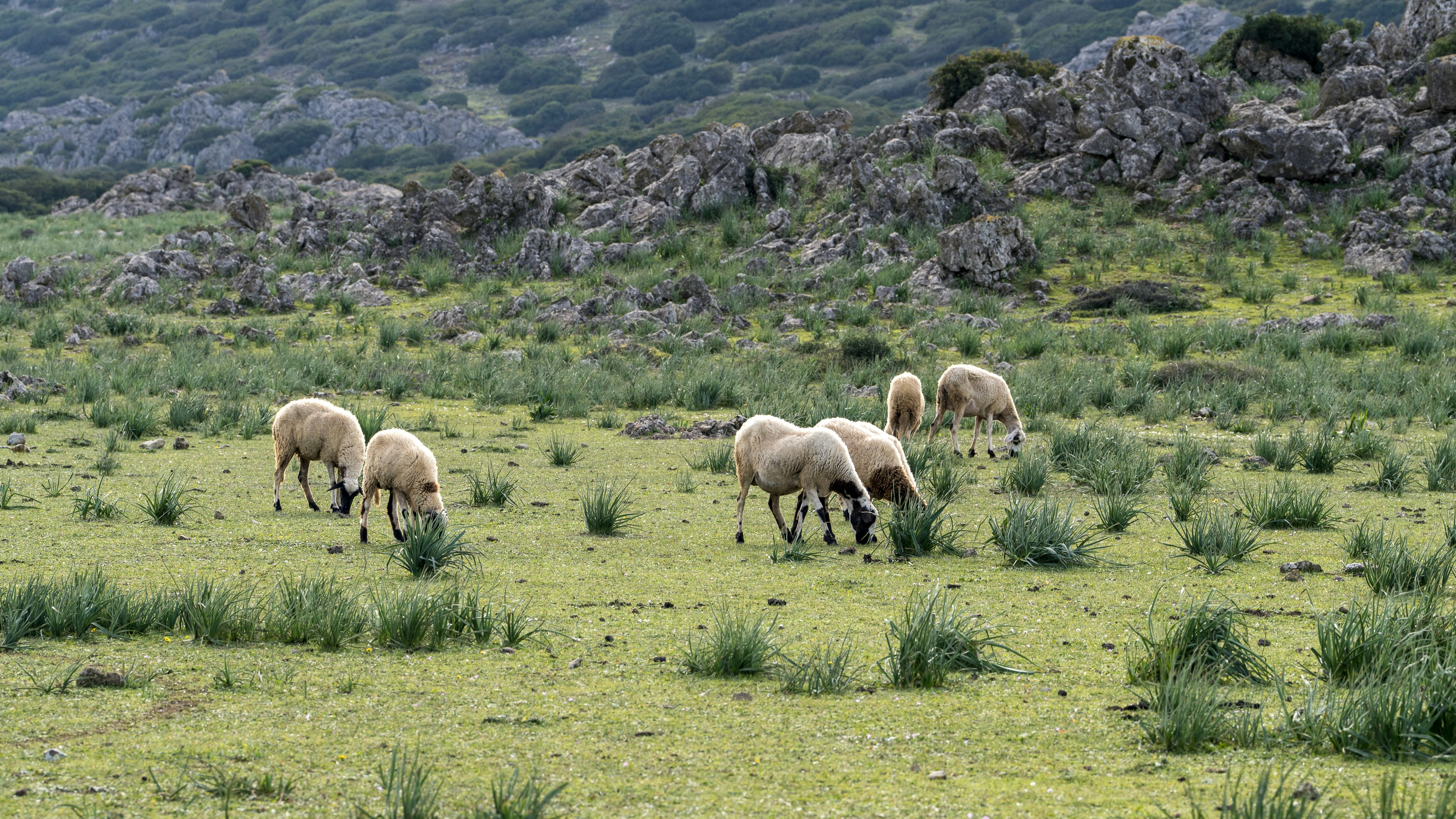 Photo by theemanofoth