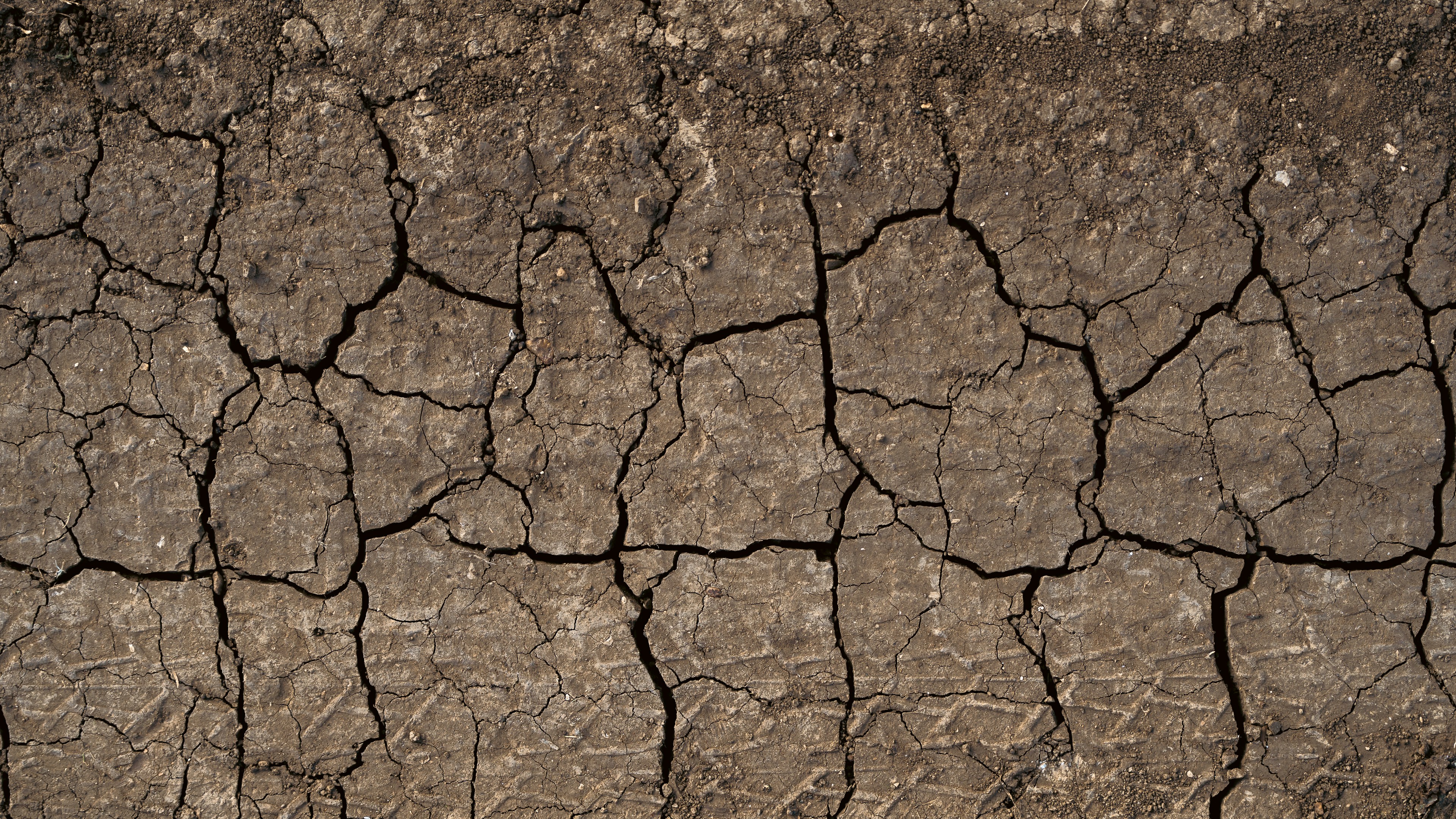 Photo by theemanofoth