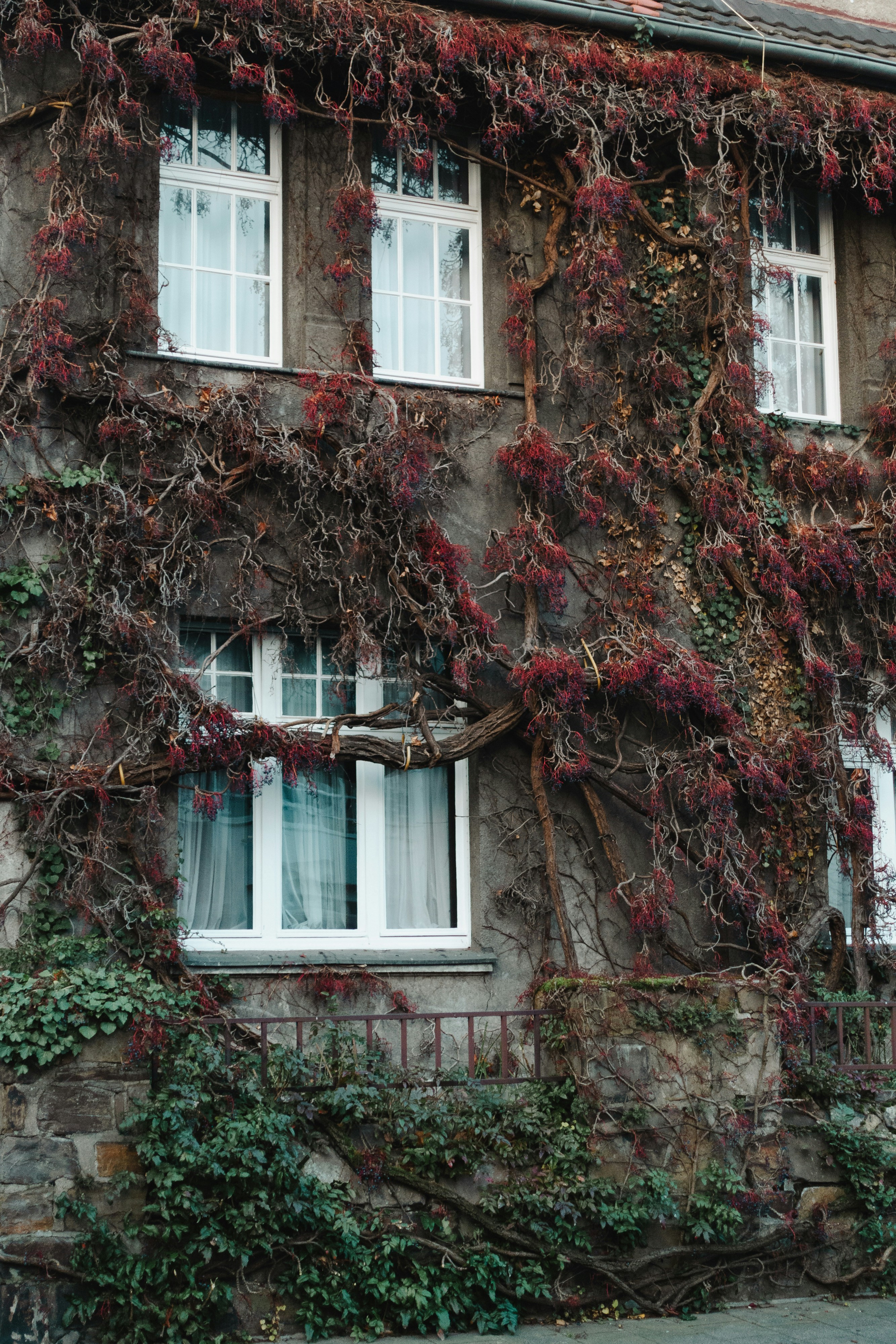 Photo by markuswinkler