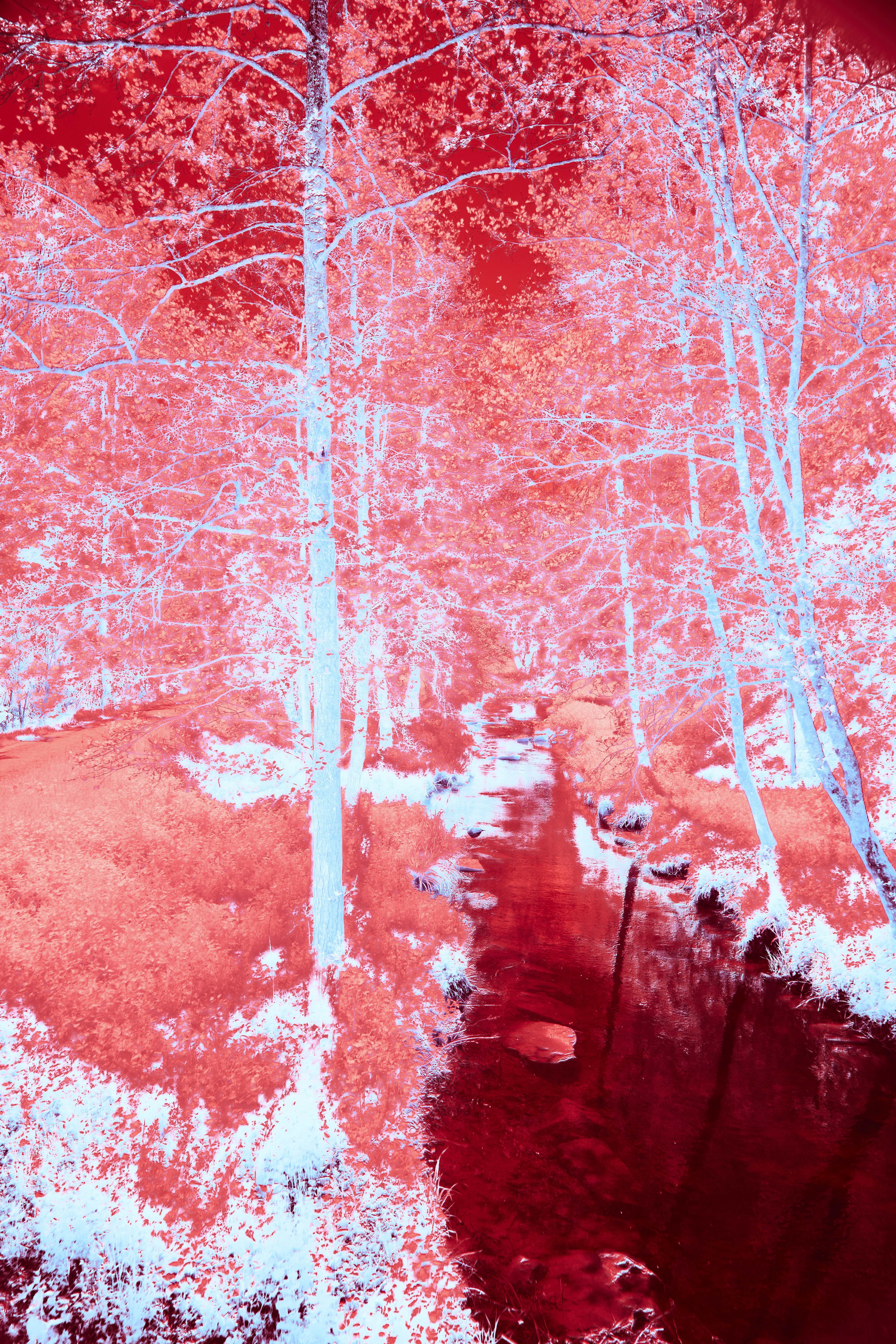 Photo by wolfgang_hasselmann