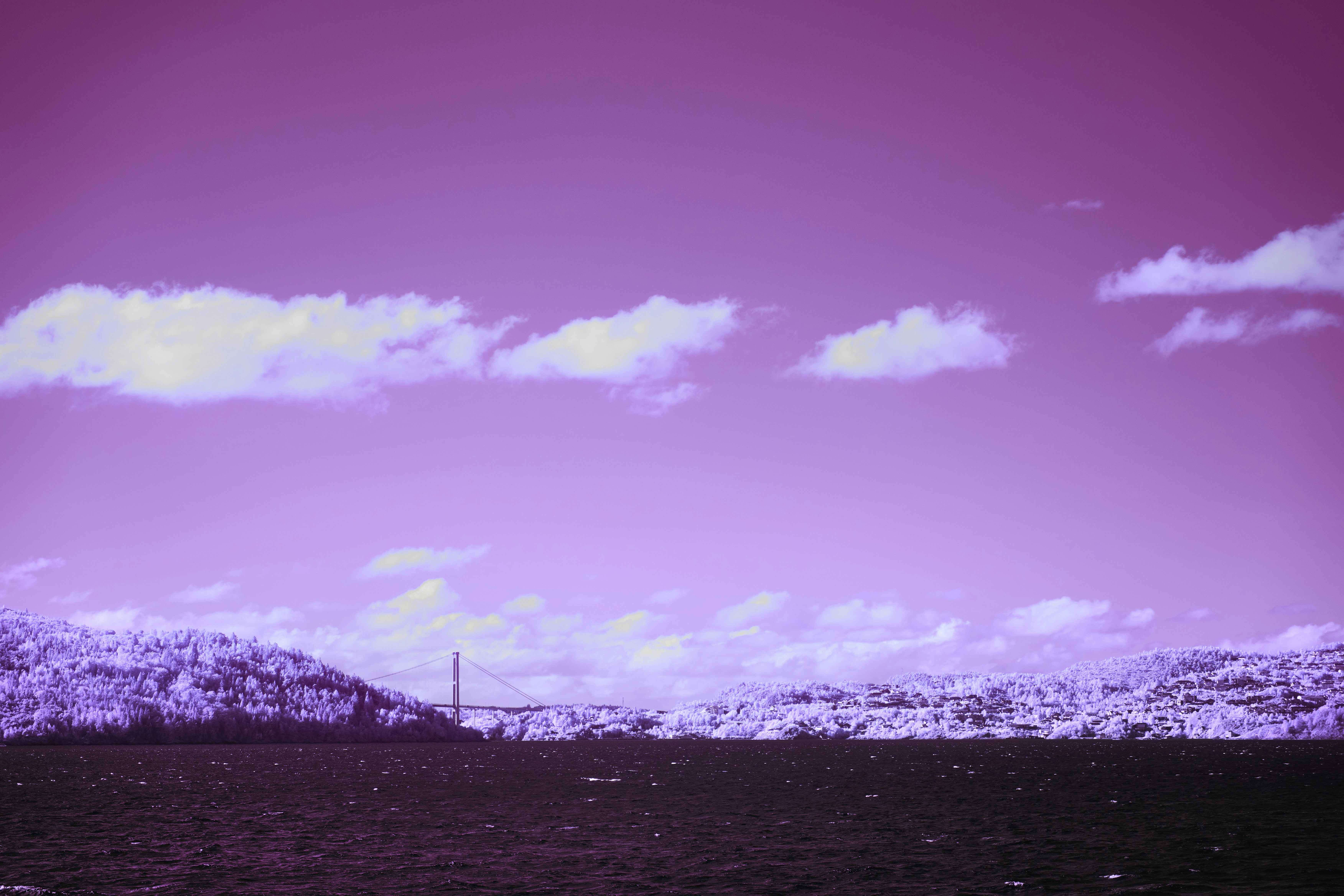 Photo by wolfgang_hasselmann