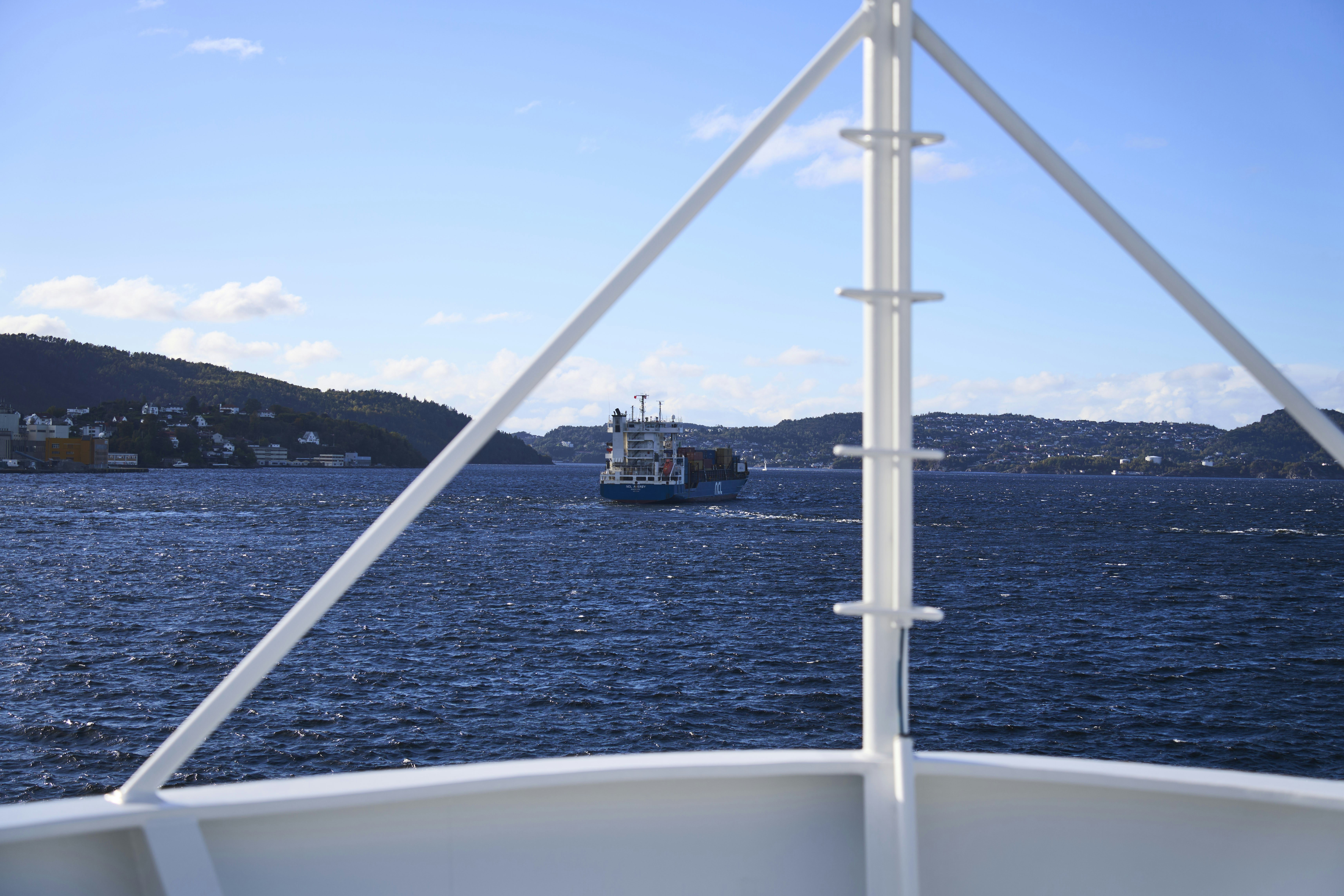 Photo by wolfgang_hasselmann