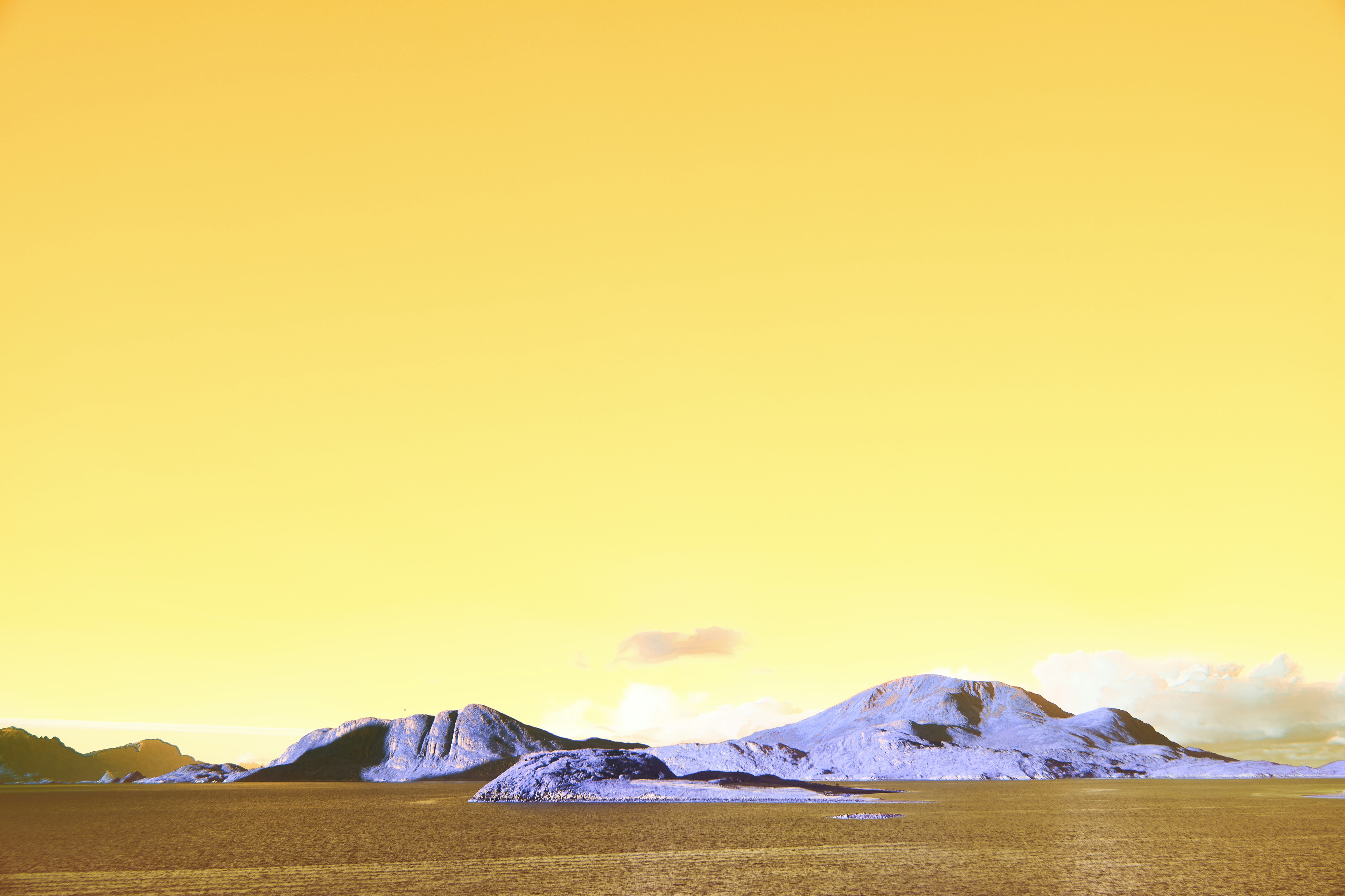 Photo by wolfgang_hasselmann