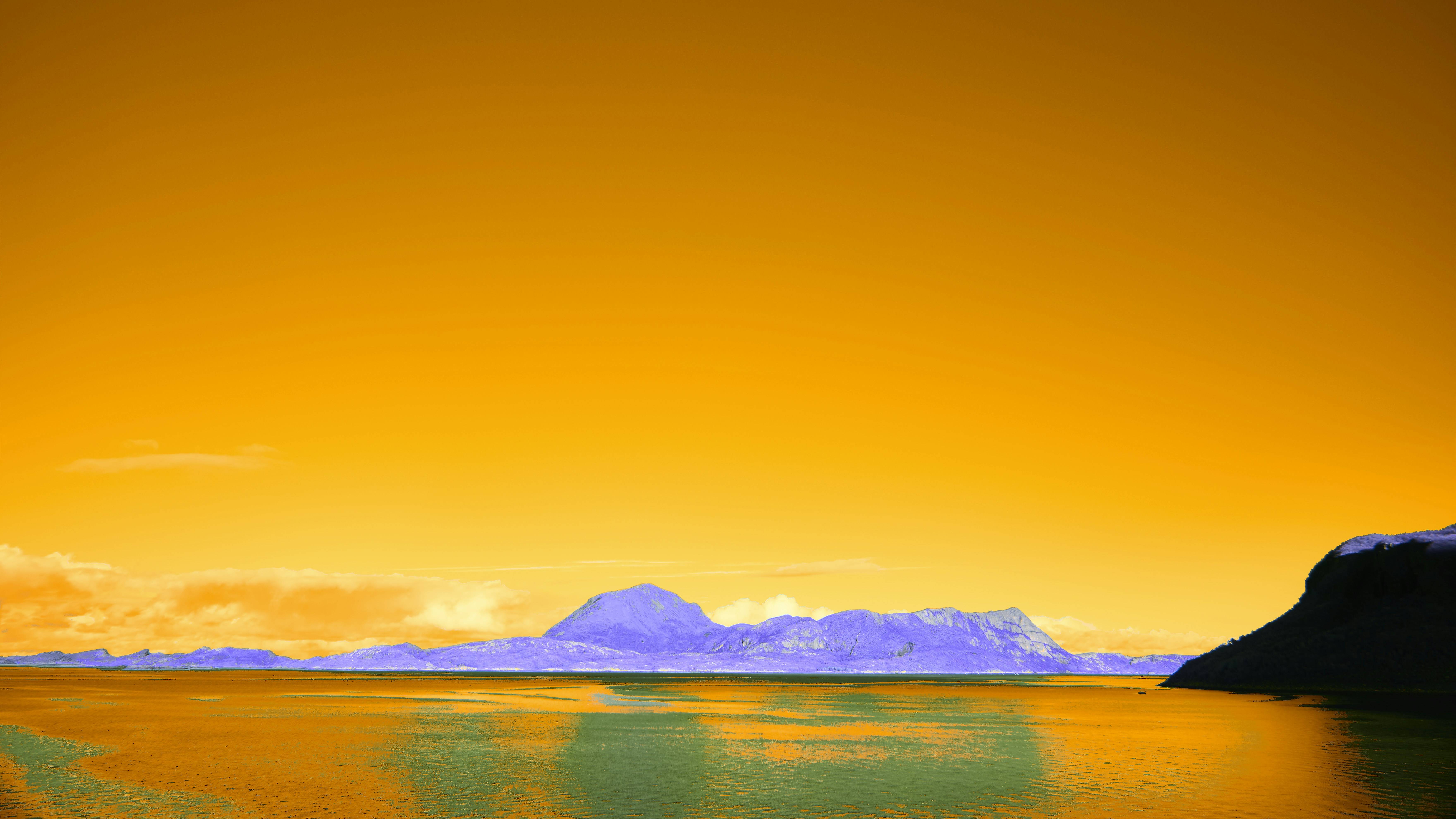 Photo by wolfgang_hasselmann