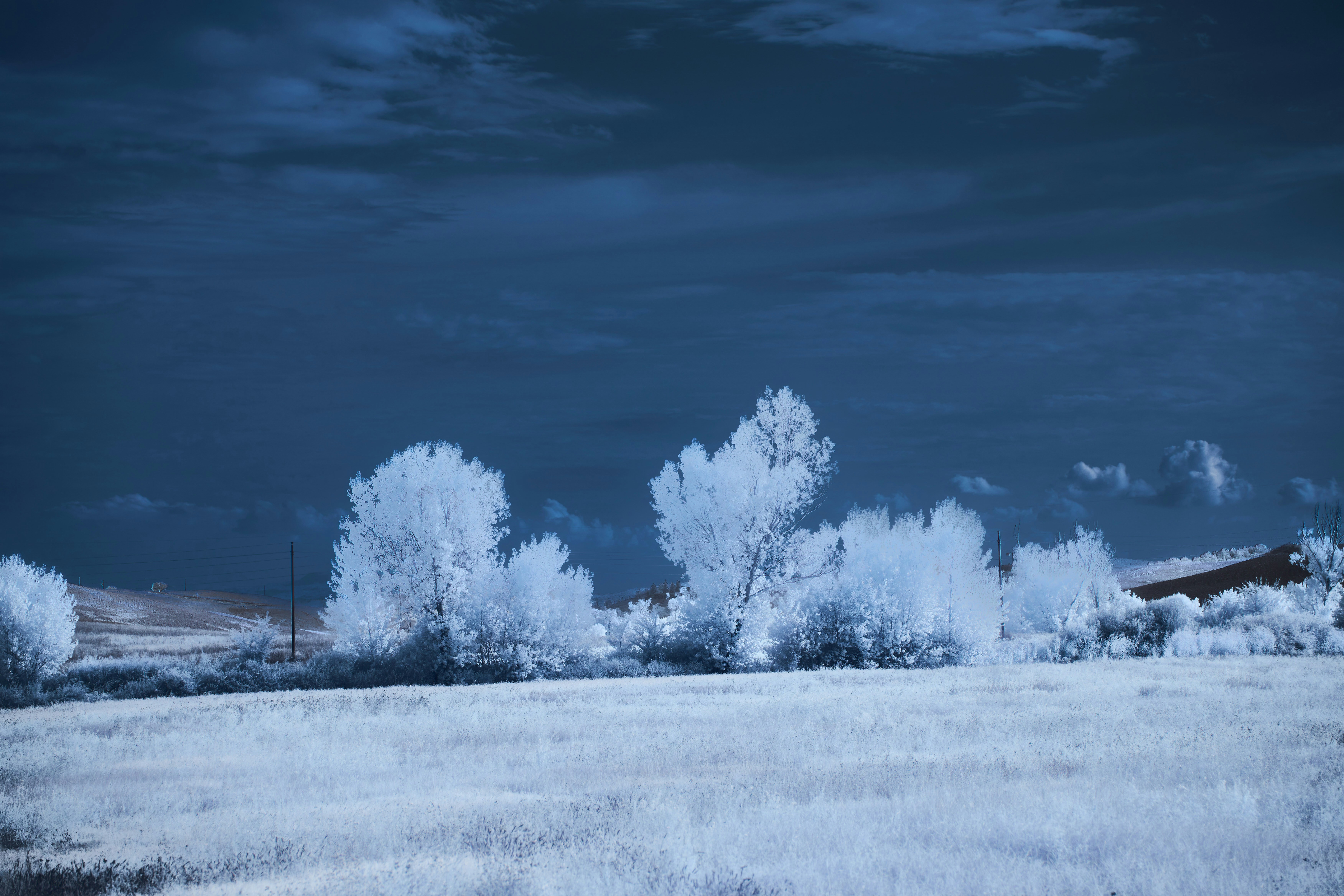 눈과 나무가있는 풍경 사진 – Unsplash의 무료 땅 이미지, image size:3000x2000