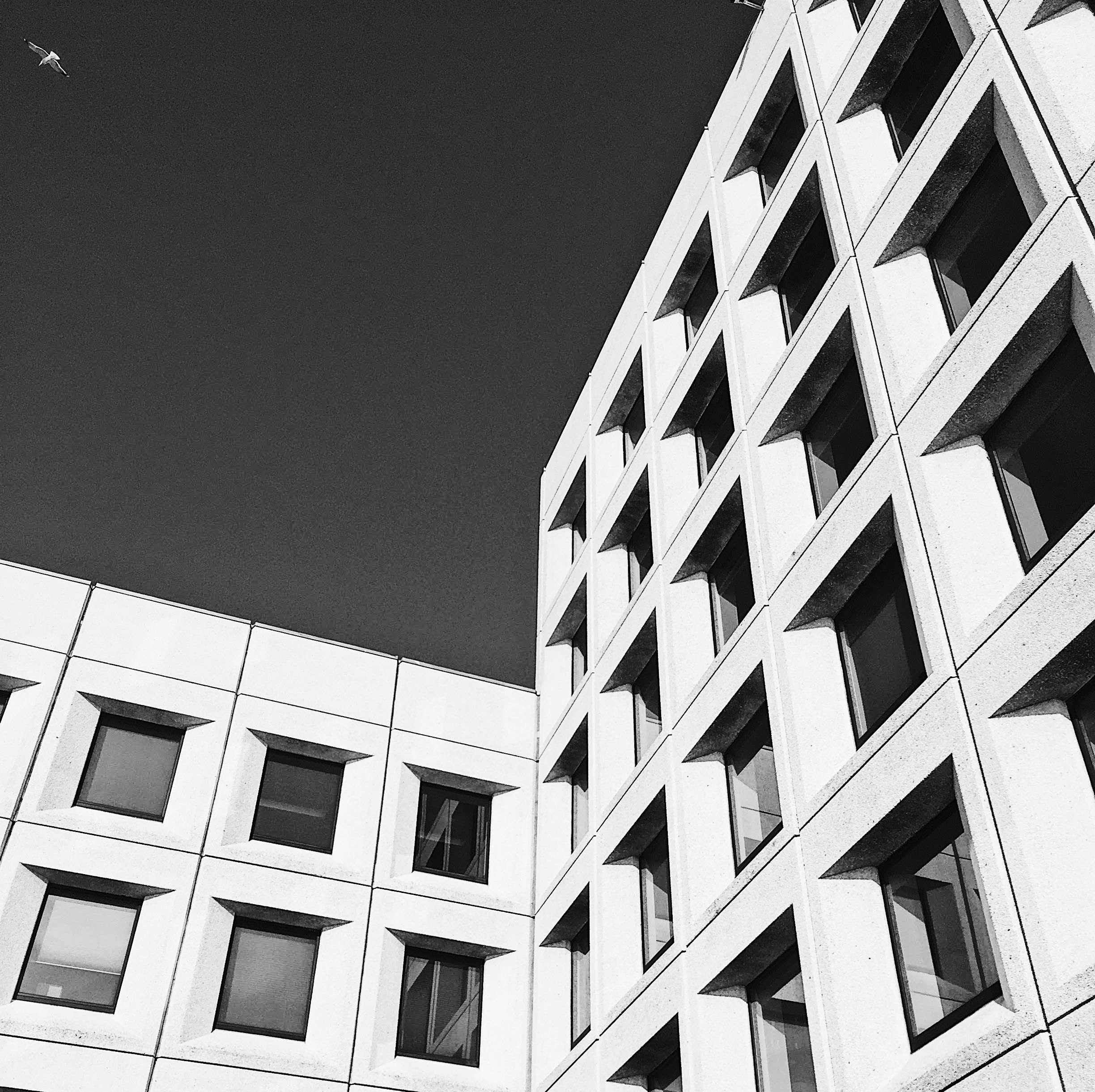 Photo by nicolazhukov