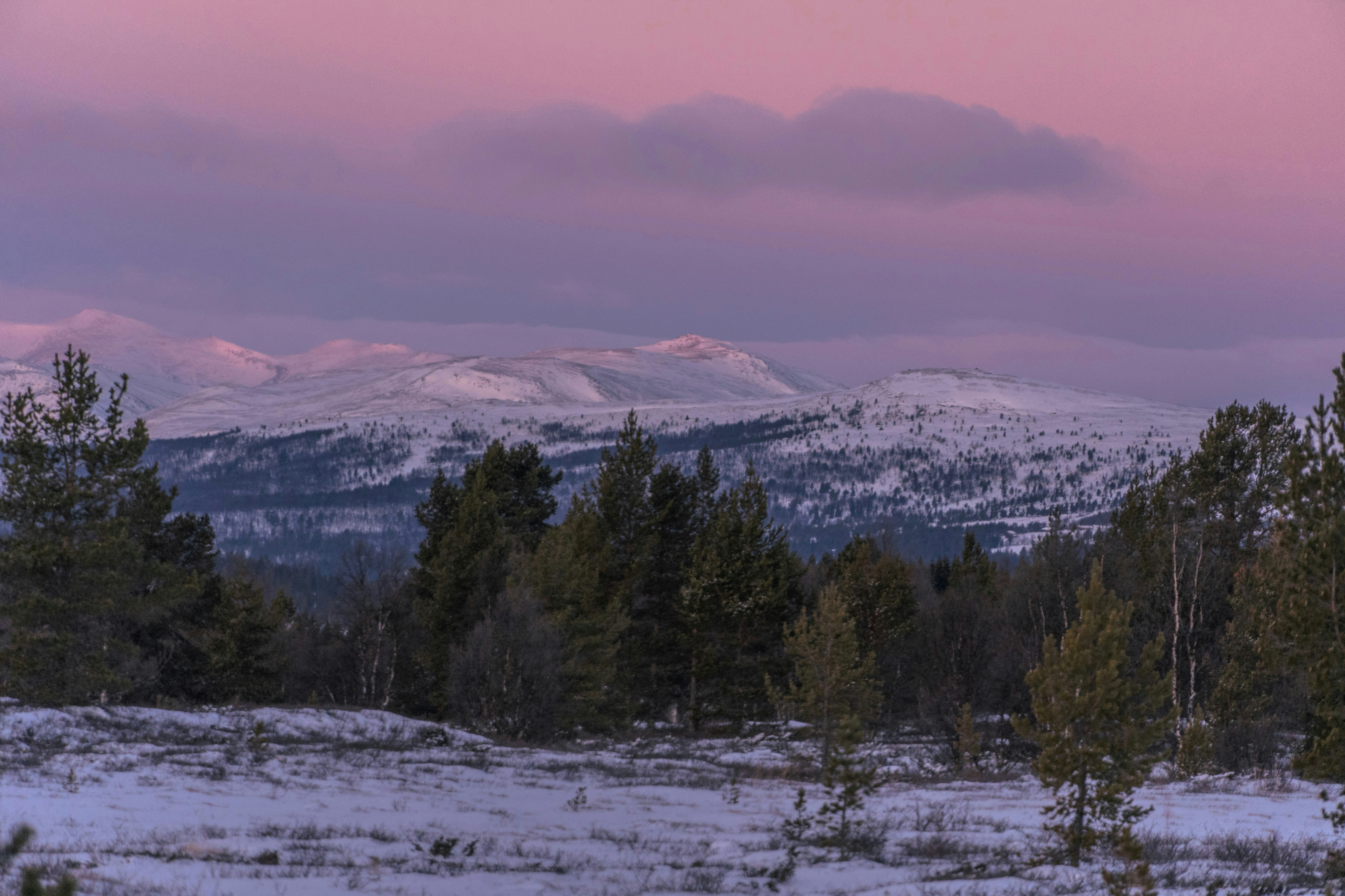 Photo by kristian_stroom