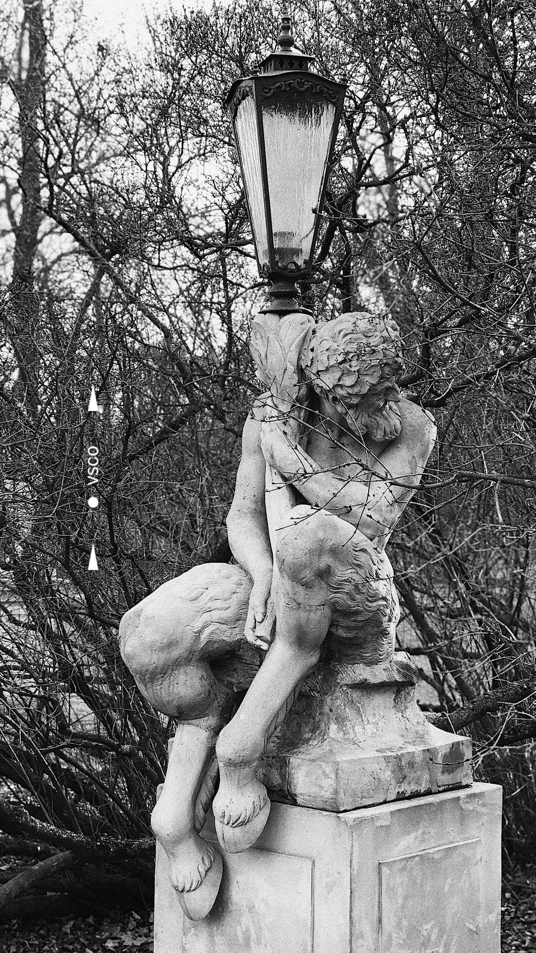 Photo by nicolazhukov