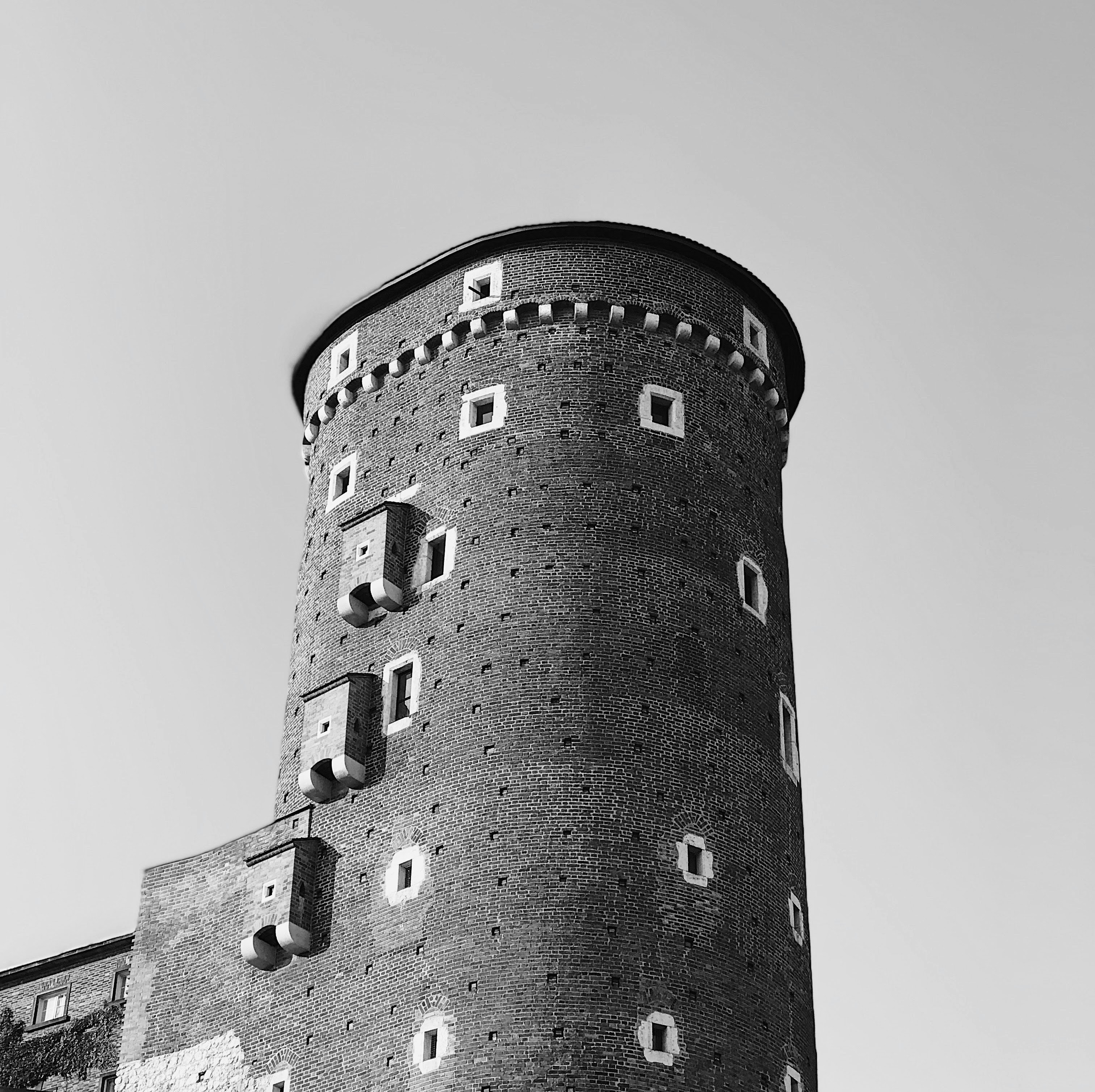 Photo by nicolazhukov