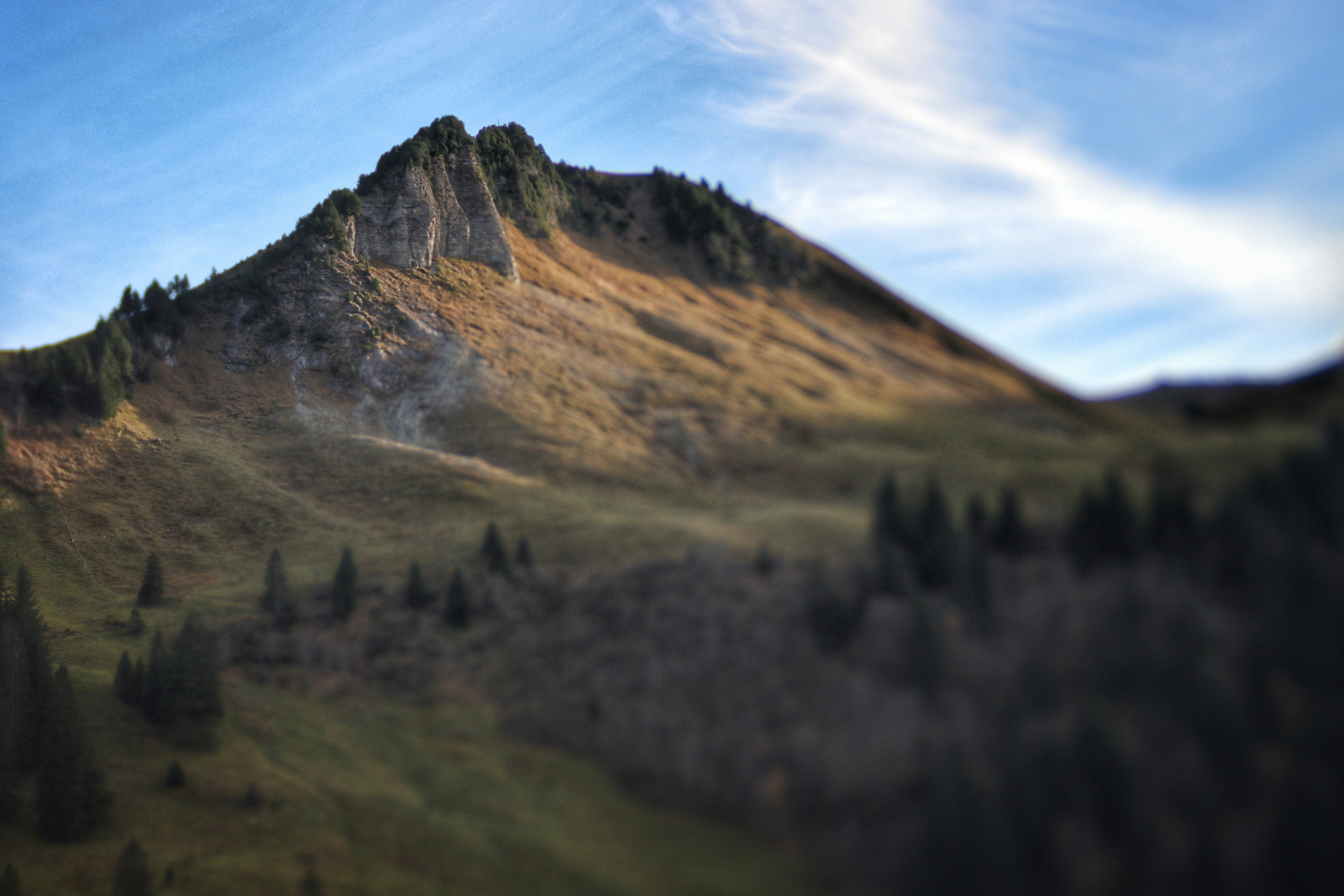 A mountain with trees on the side of it
