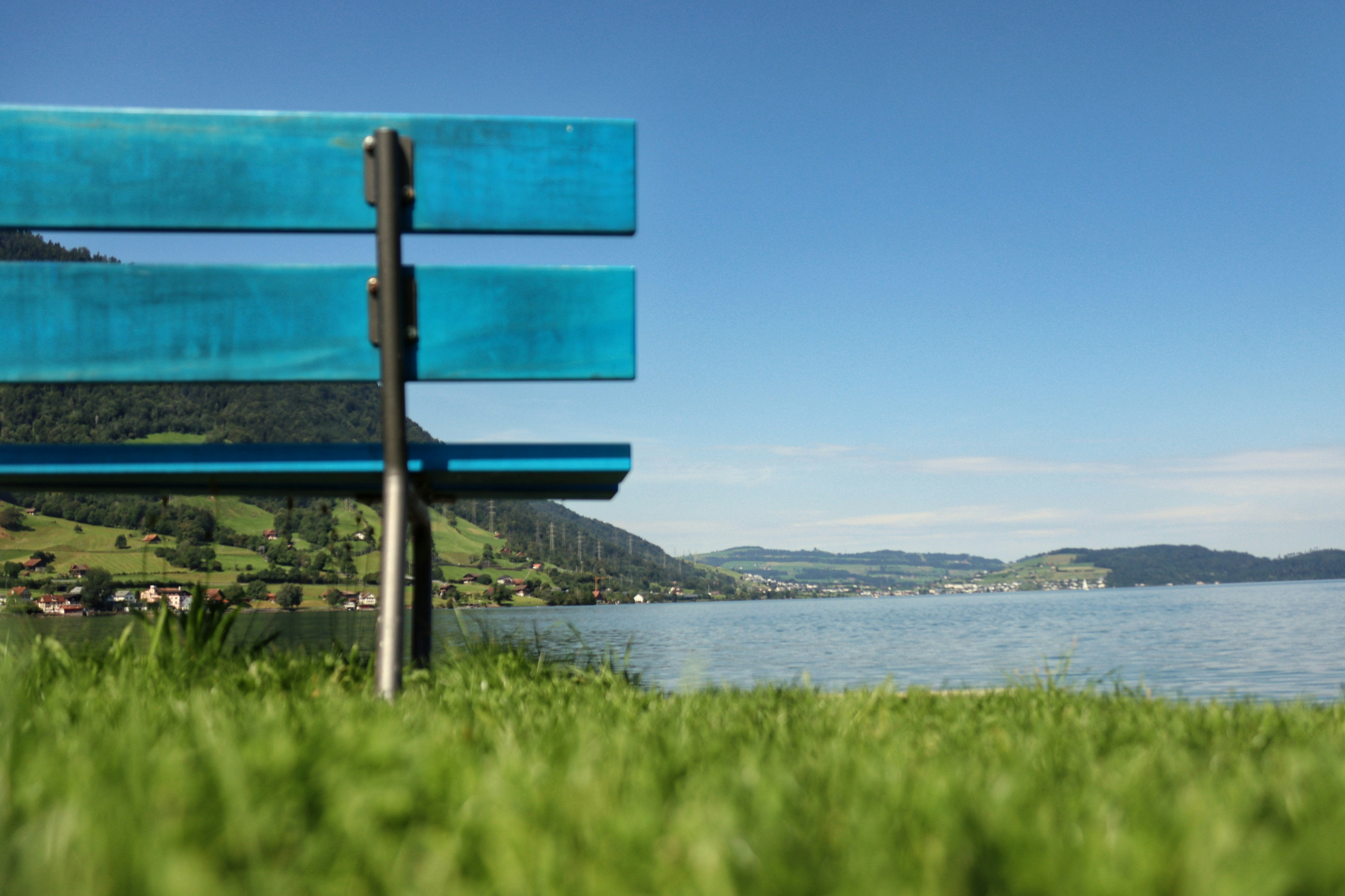 A blue bench sitting on top of a lush green field