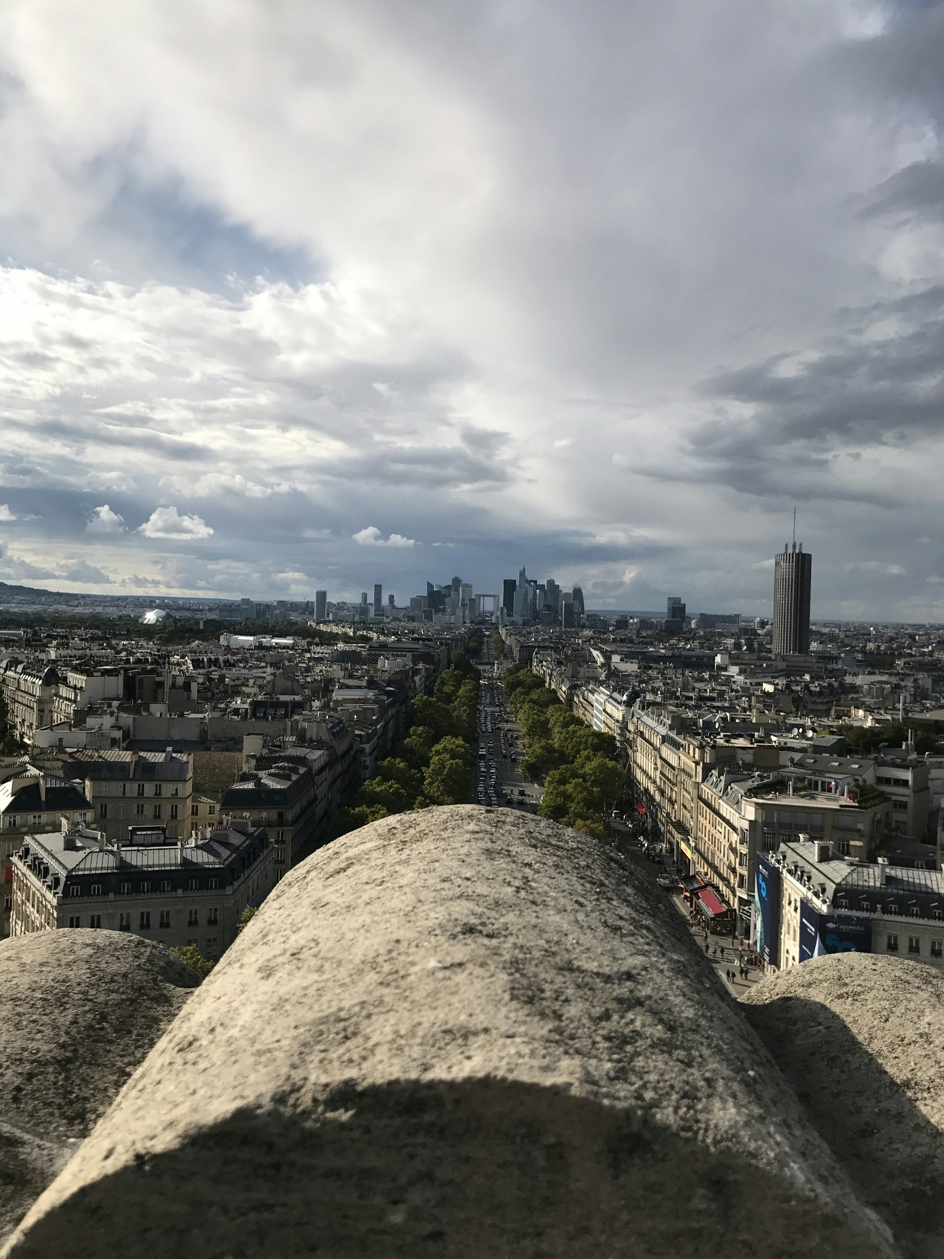 cafard-blattes-75015-Paris-15