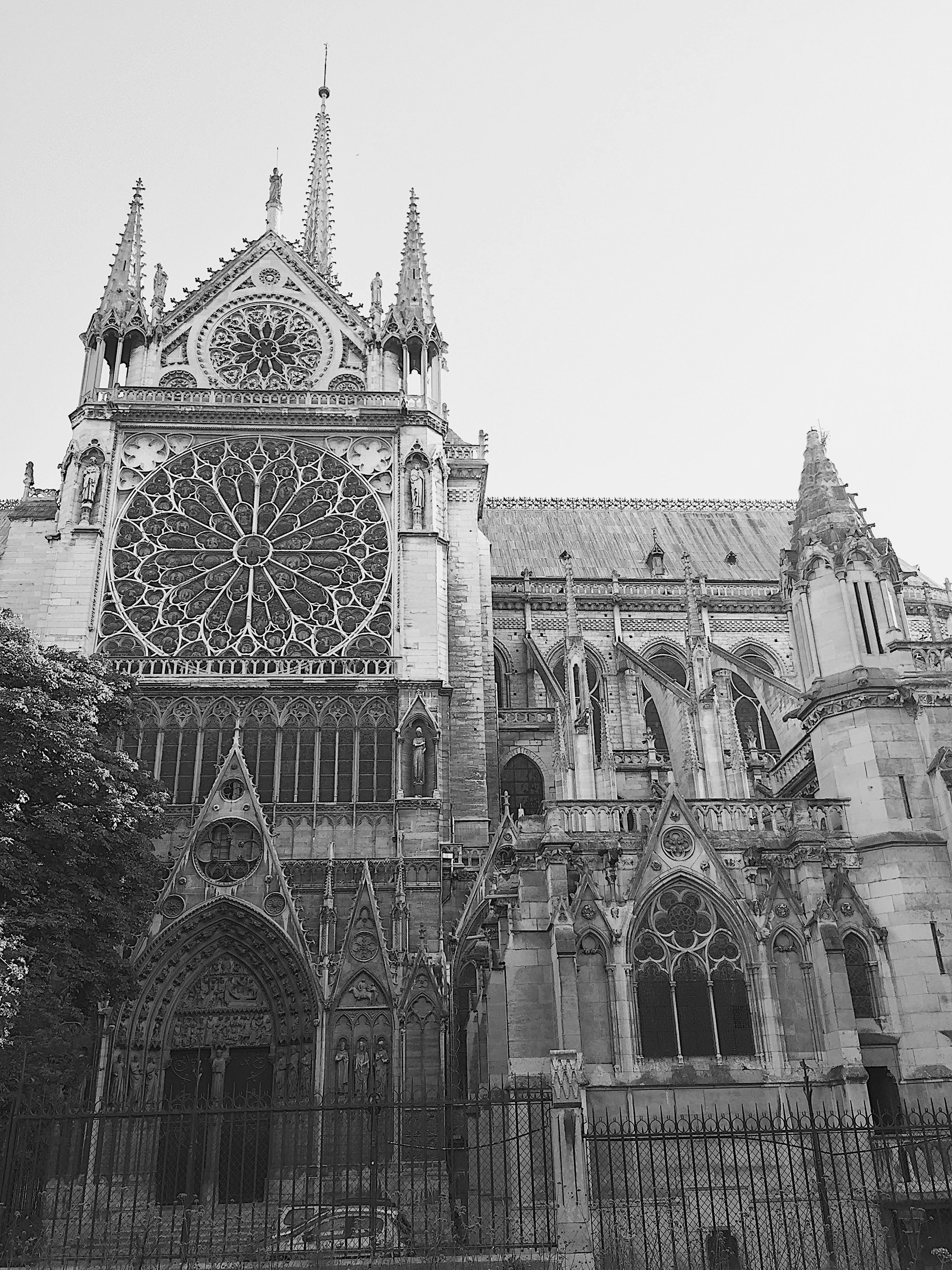 Photo by nicolazhukov