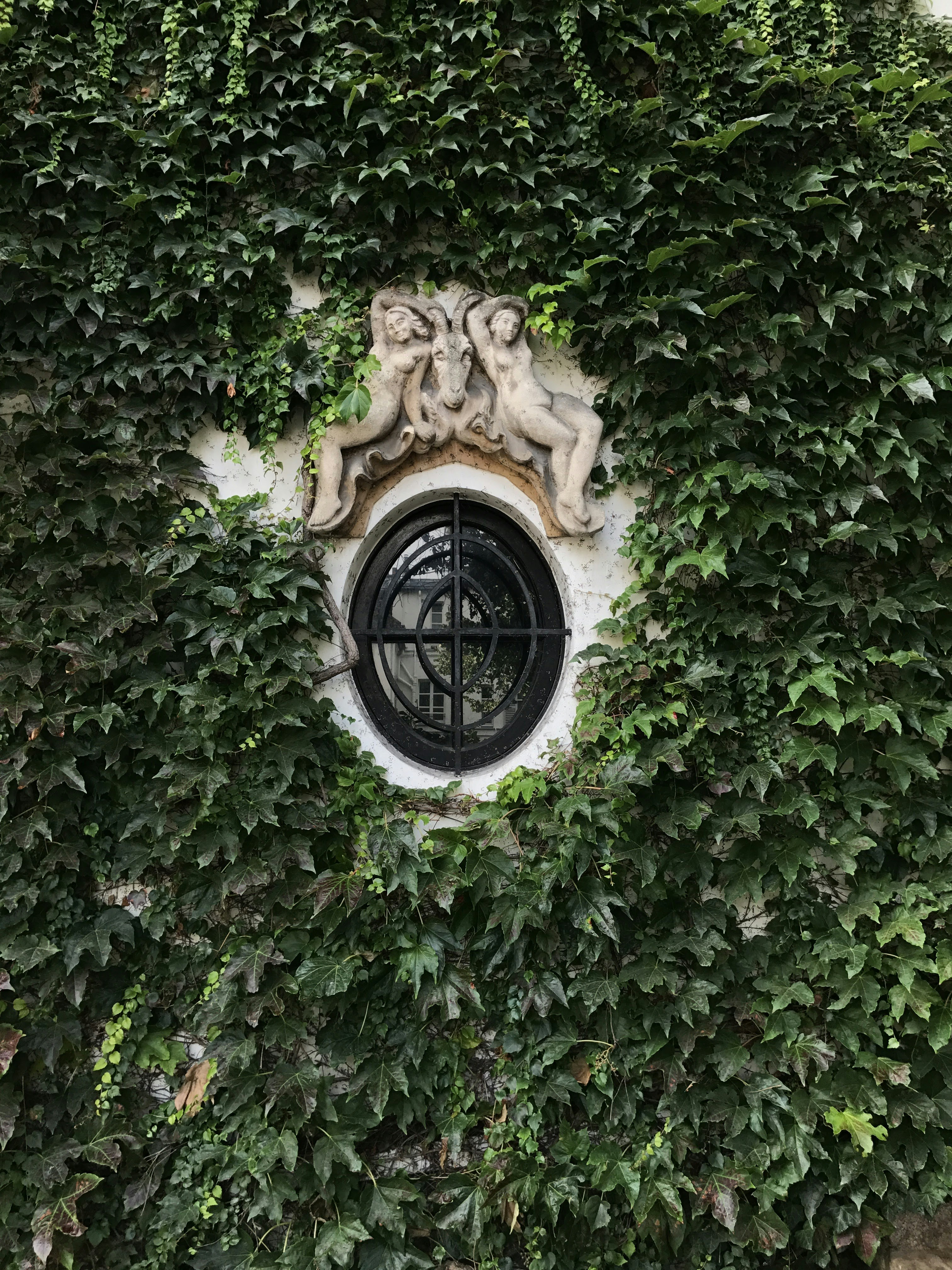 Photo by nicolazhukov