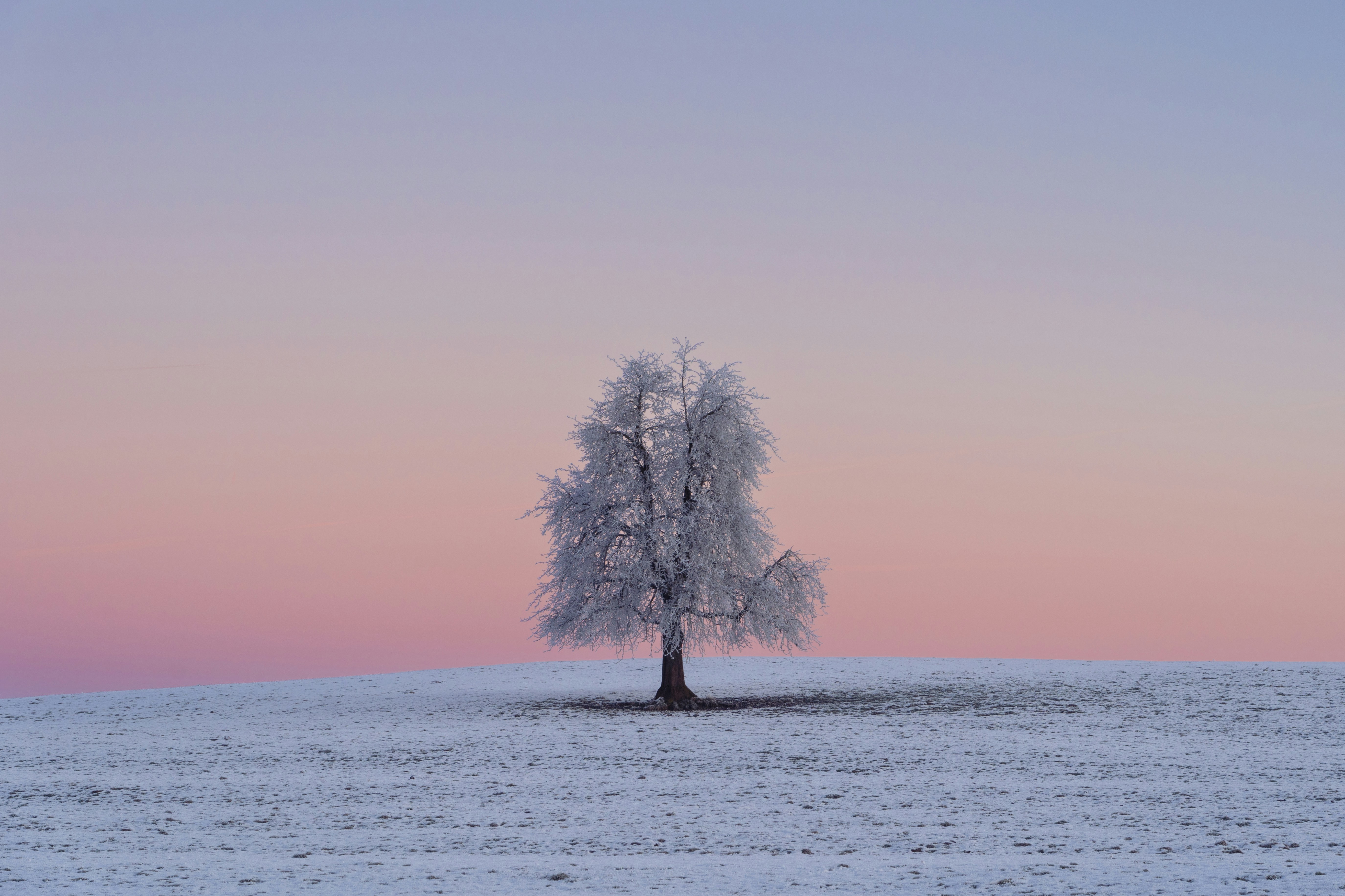 연말정산 공제란 무엇인가요? – 연말정산 공제를 통해 얻는 혜택