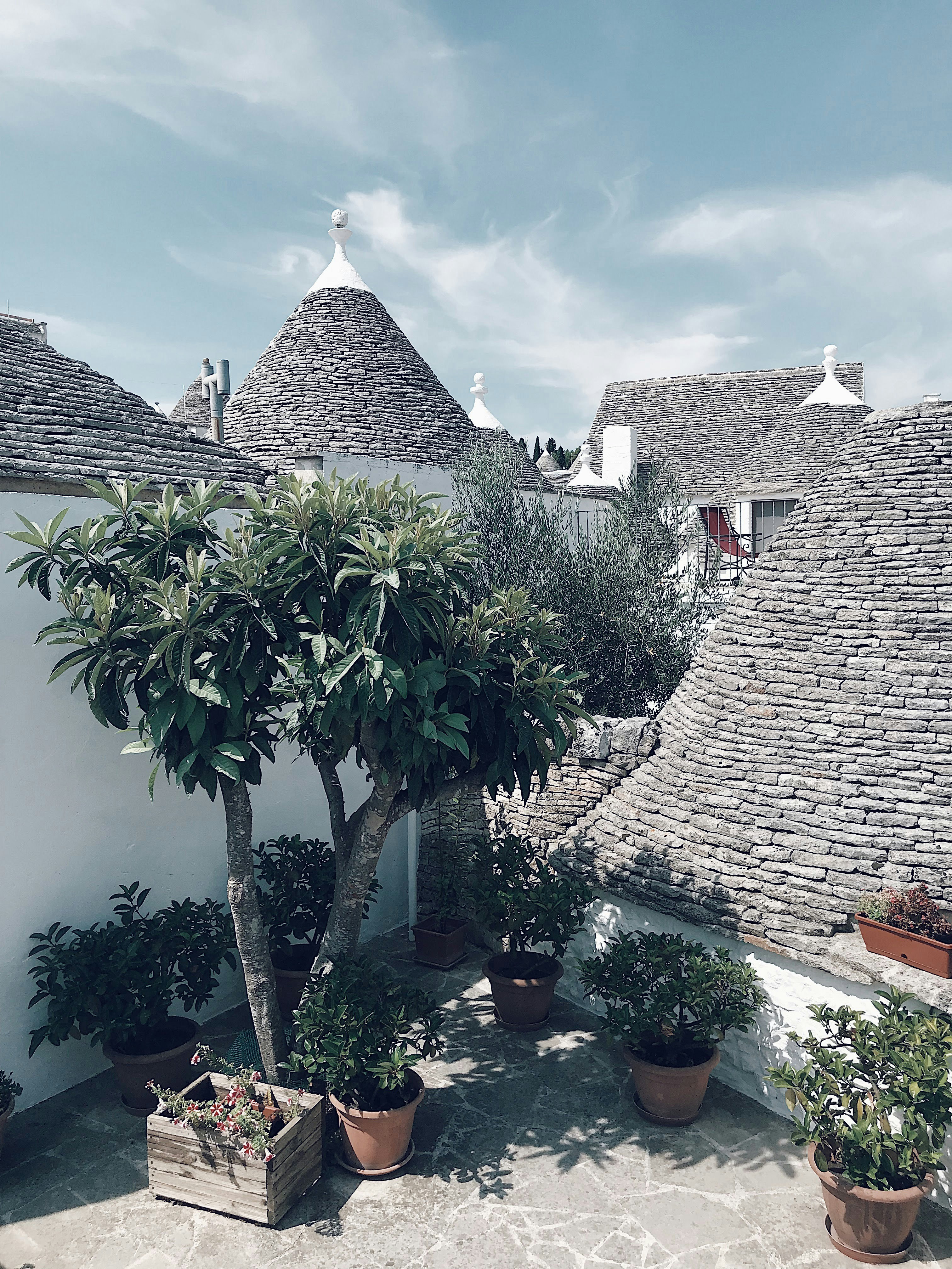 Photo by nicolazhukov